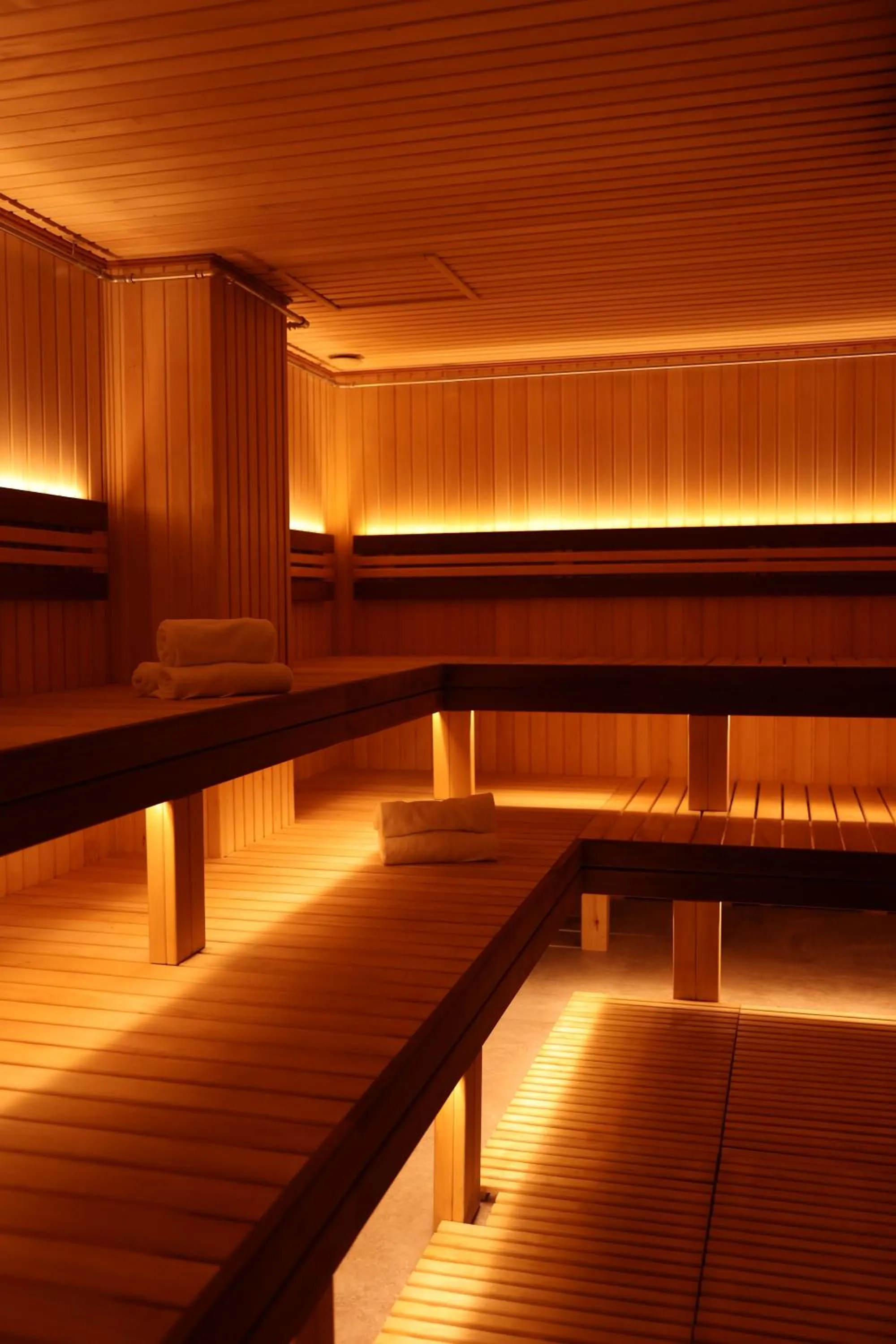 Sauna in Sofievsky Posad Hotel