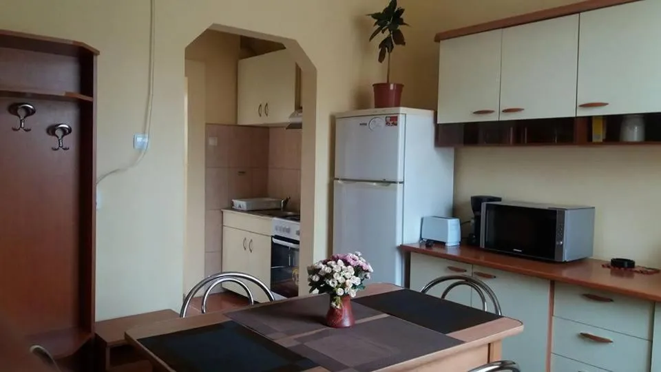 Apartment 3 Adults in Villa Casa Ioana