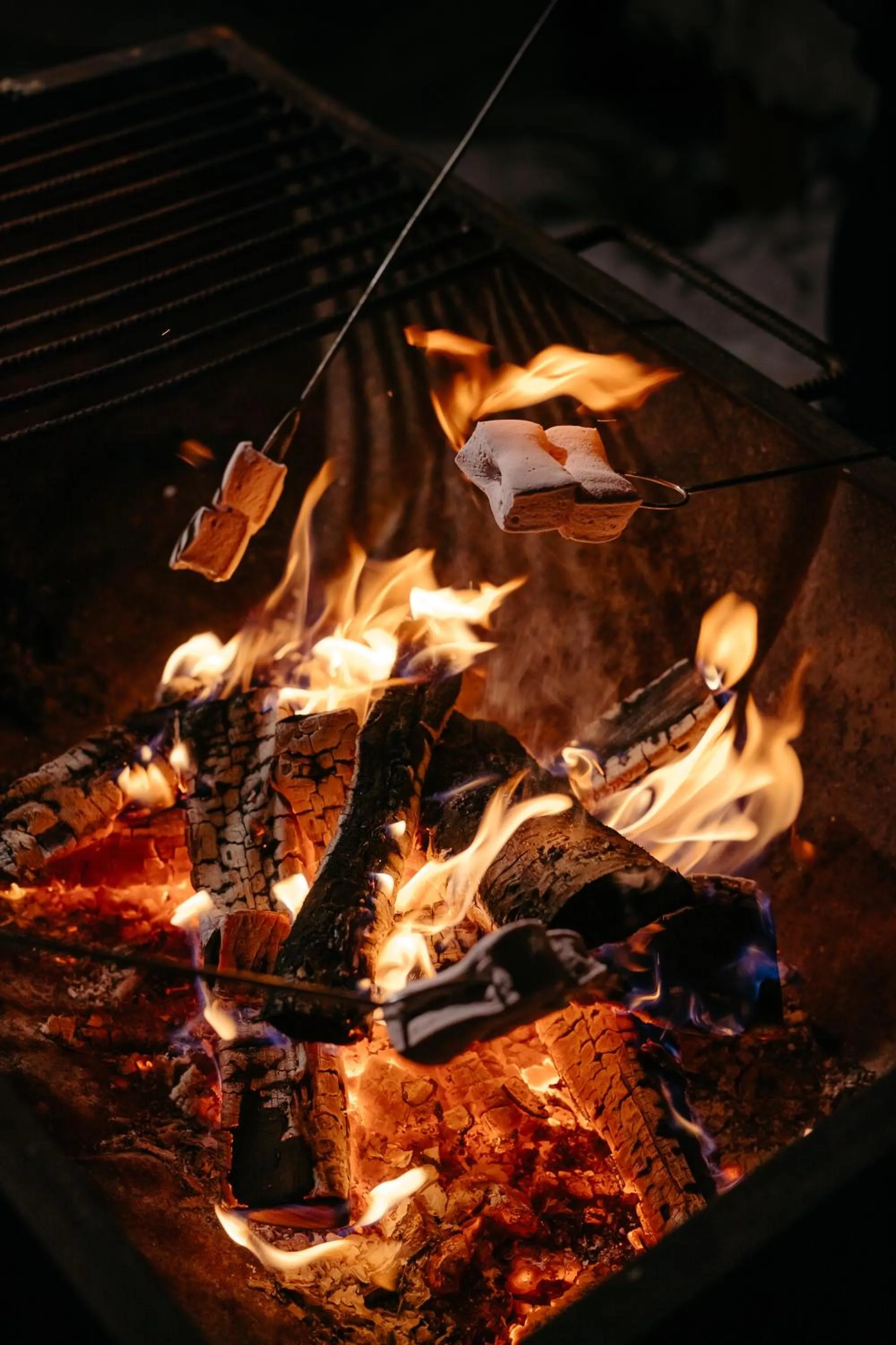 Activities in Lapland Hotels Ounasvaara Chalets