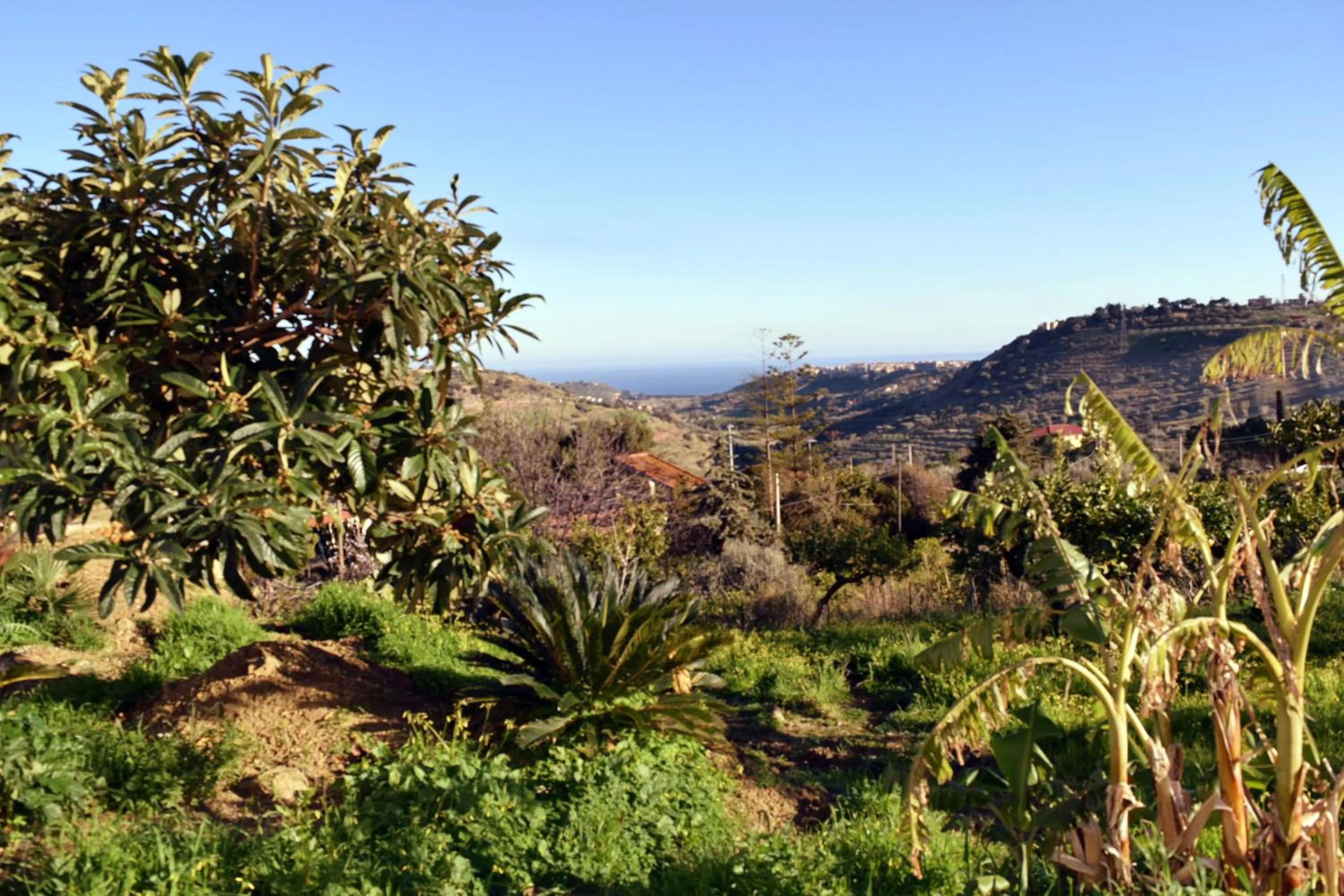 Sea view in Granatelli Holiday Home