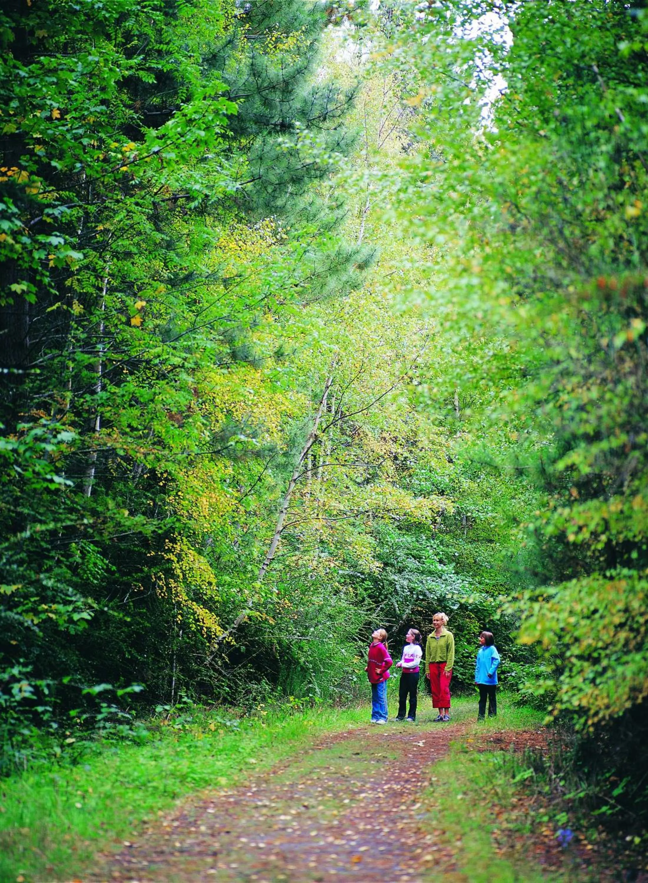 Day in Aspen Lodge Motel
