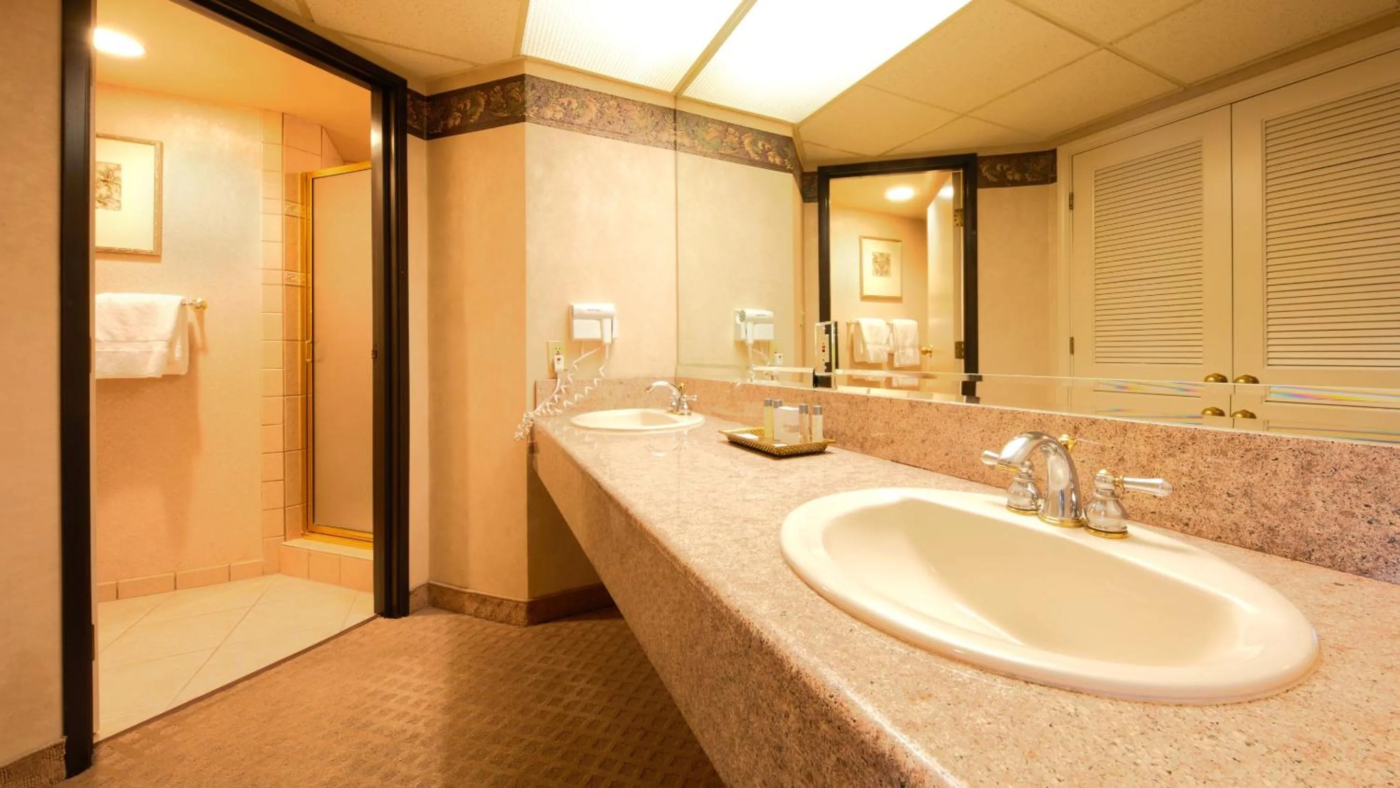 Bathroom in Eldorado Reno, A Caesars Destination