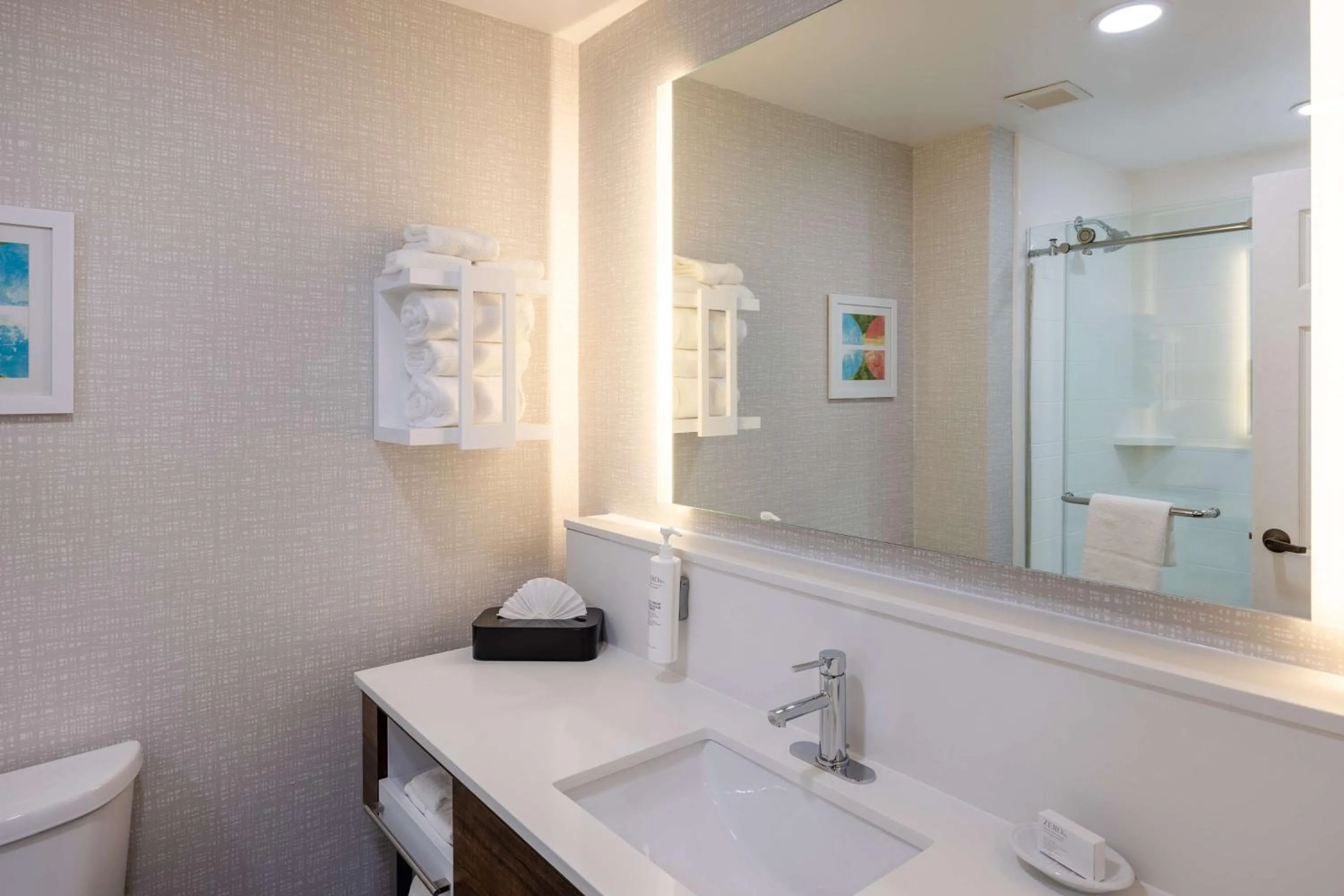 Bathroom in Hampton Inn & Suites Alpharetta Roswell