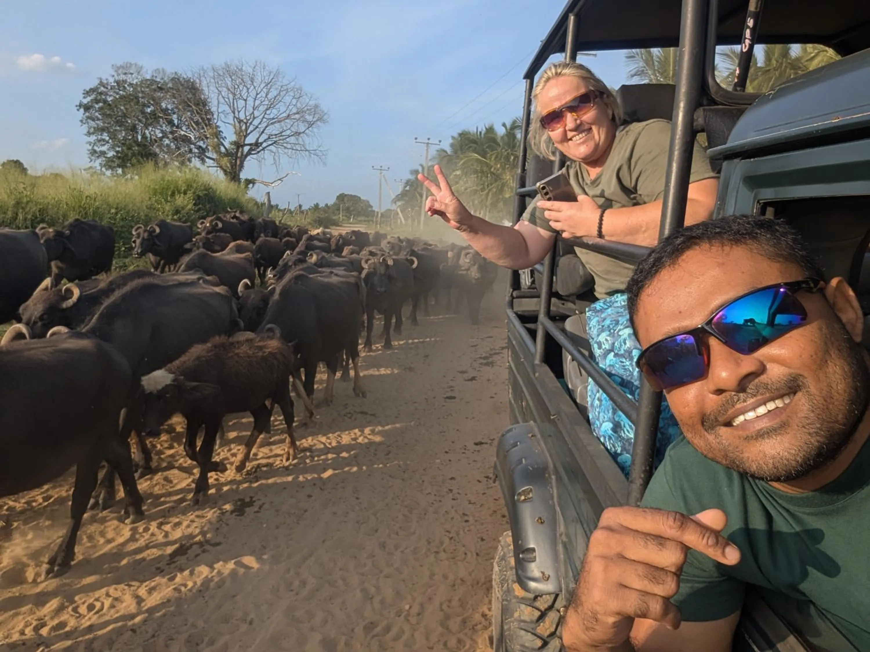 Yala Avian Eye Safari