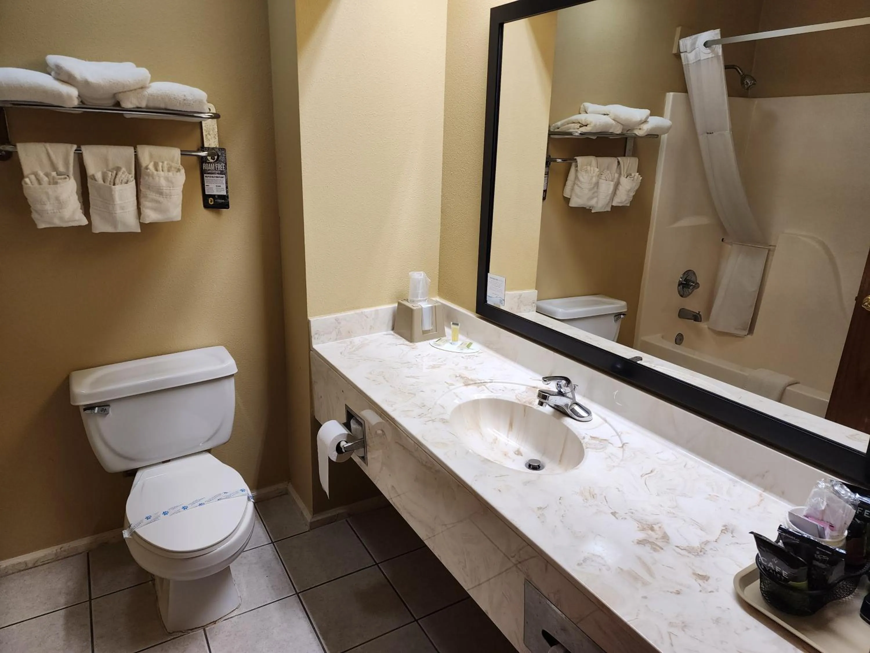 Bathroom in Super 8 by Wyndham Pine Bluff