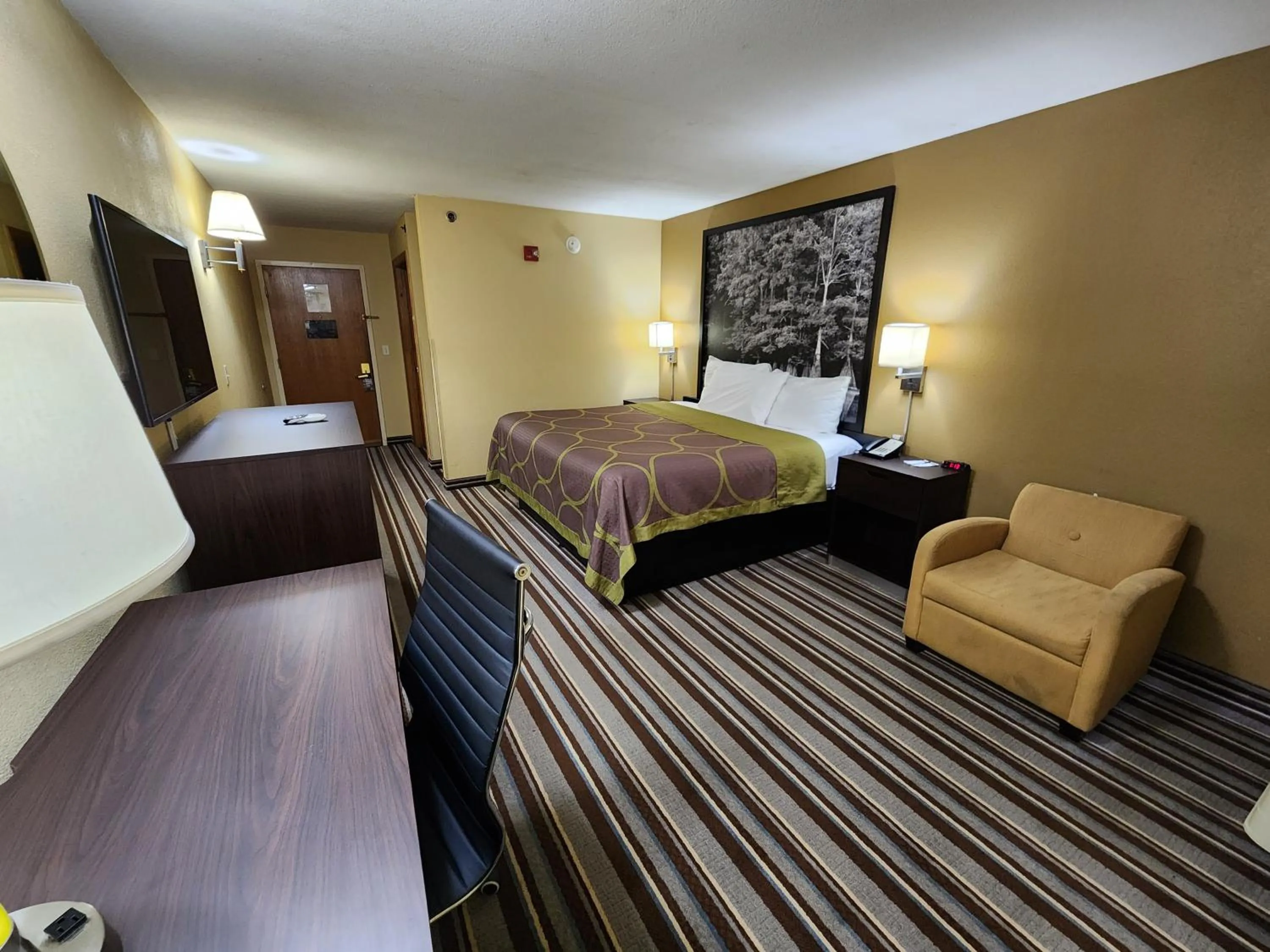 Guests, Bed in Super 8 by Wyndham Pine Bluff