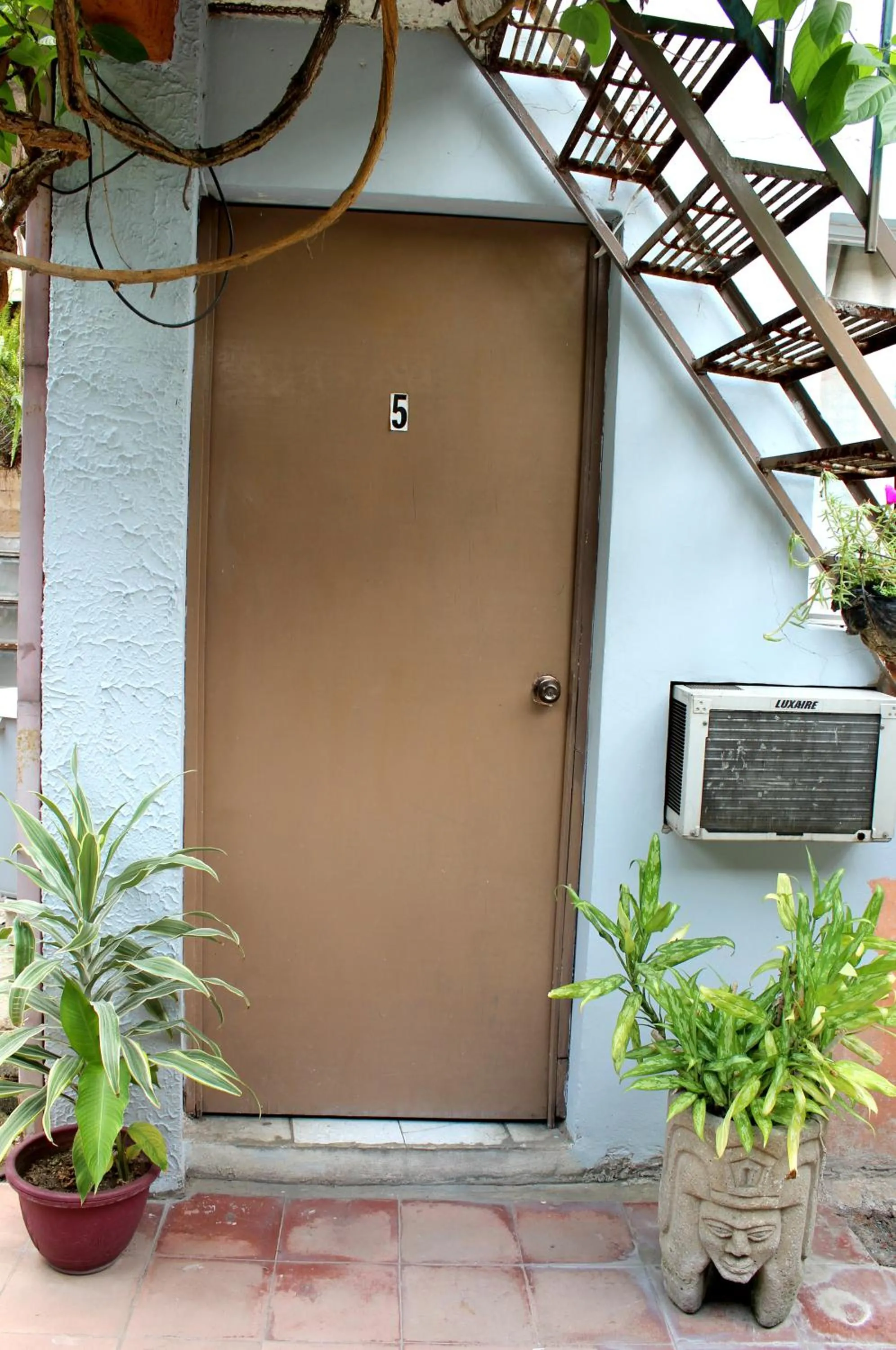 Patio in Ximenas Guest House