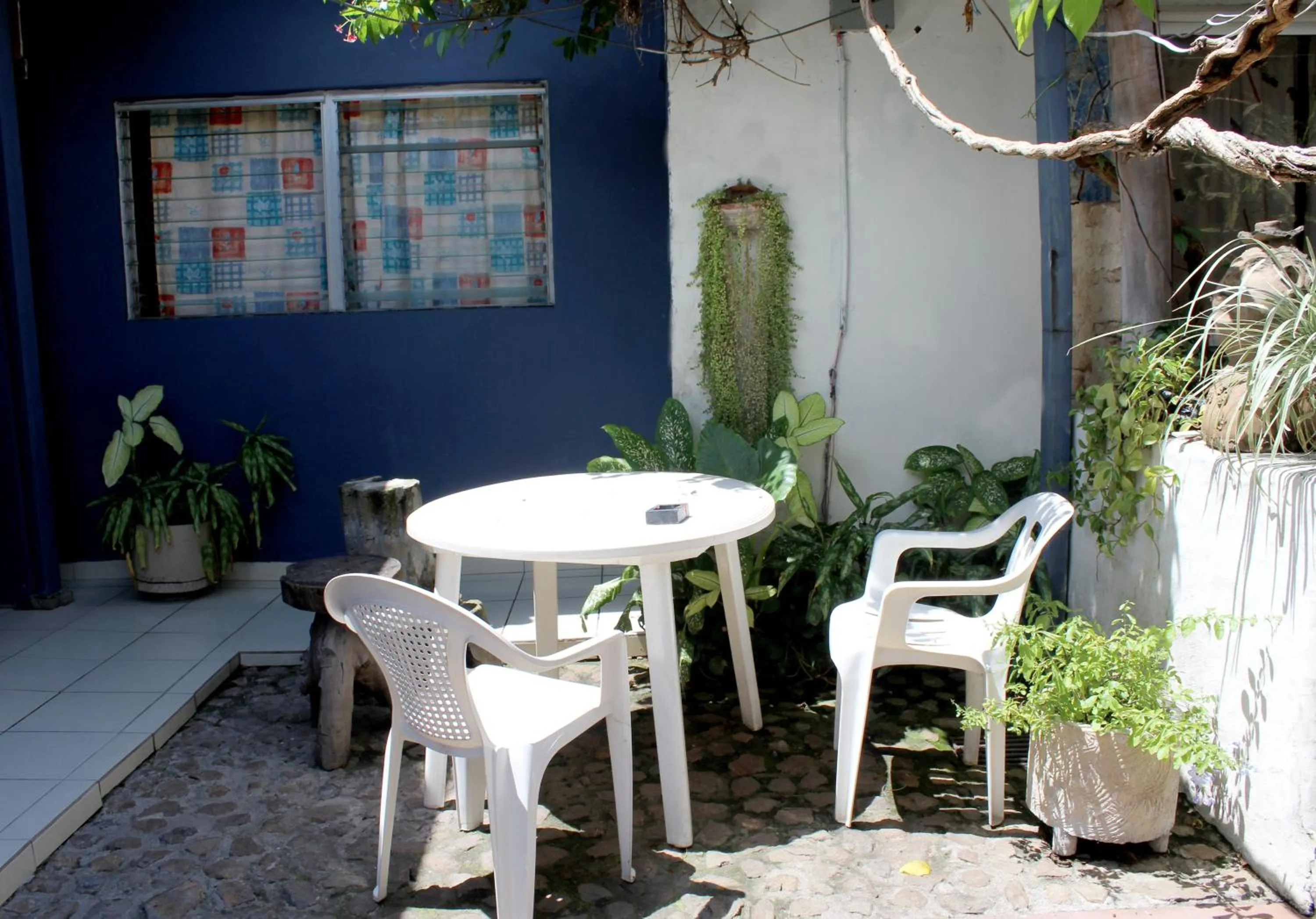 Patio in Ximenas Guest House