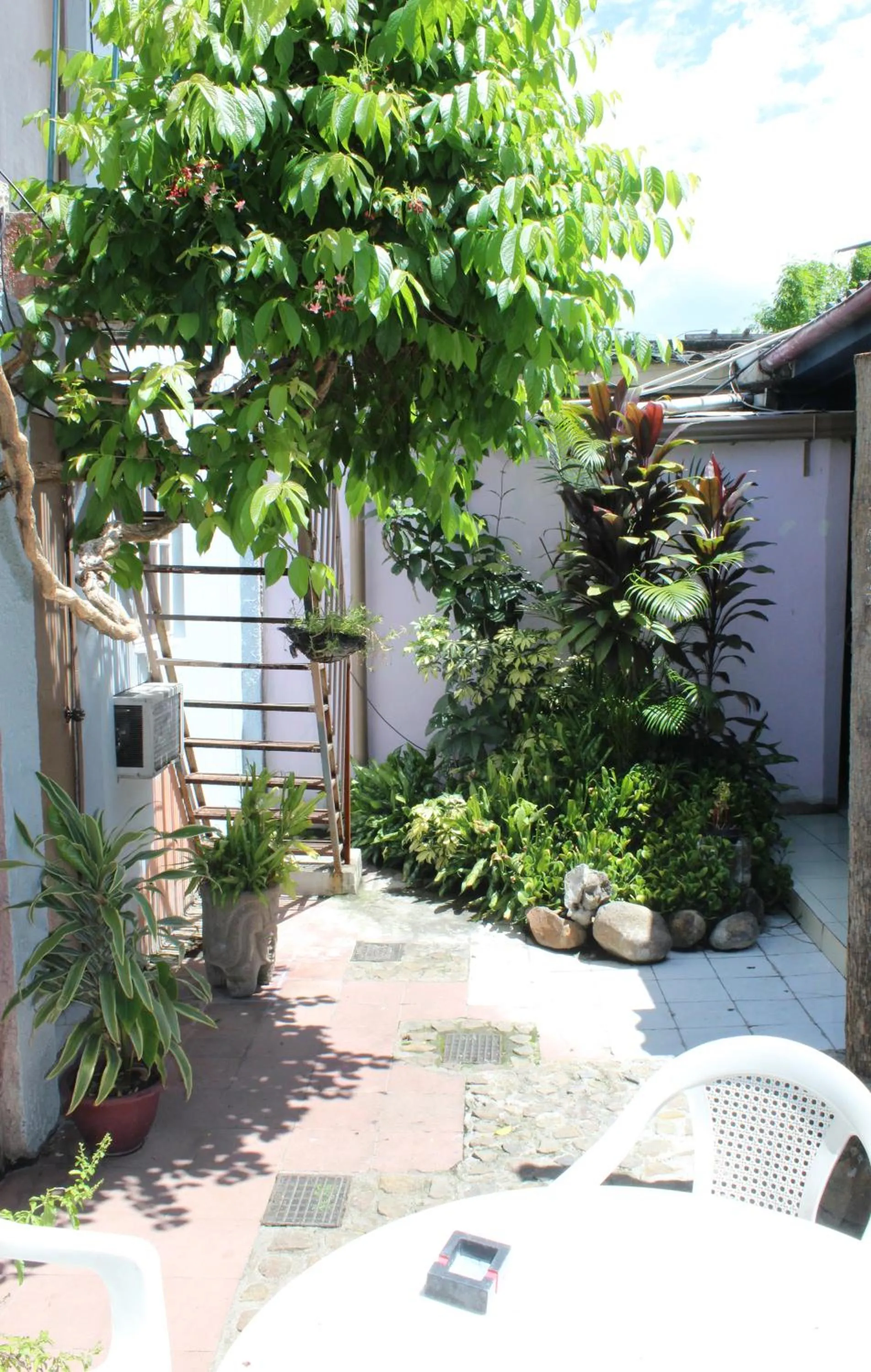 Patio in Ximenas Guest House