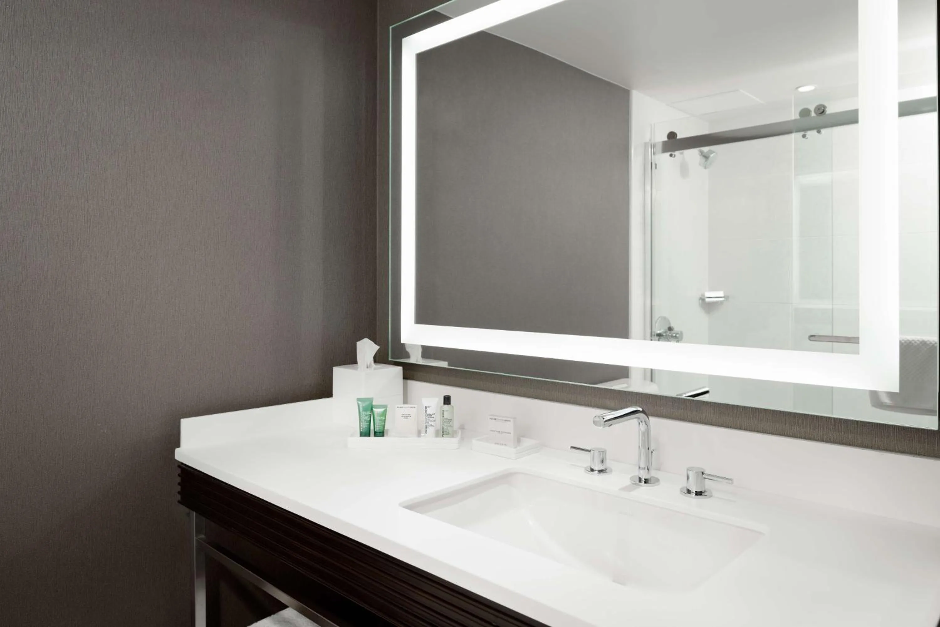 Bathroom in Hilton Woodland Hills/ Los Angeles