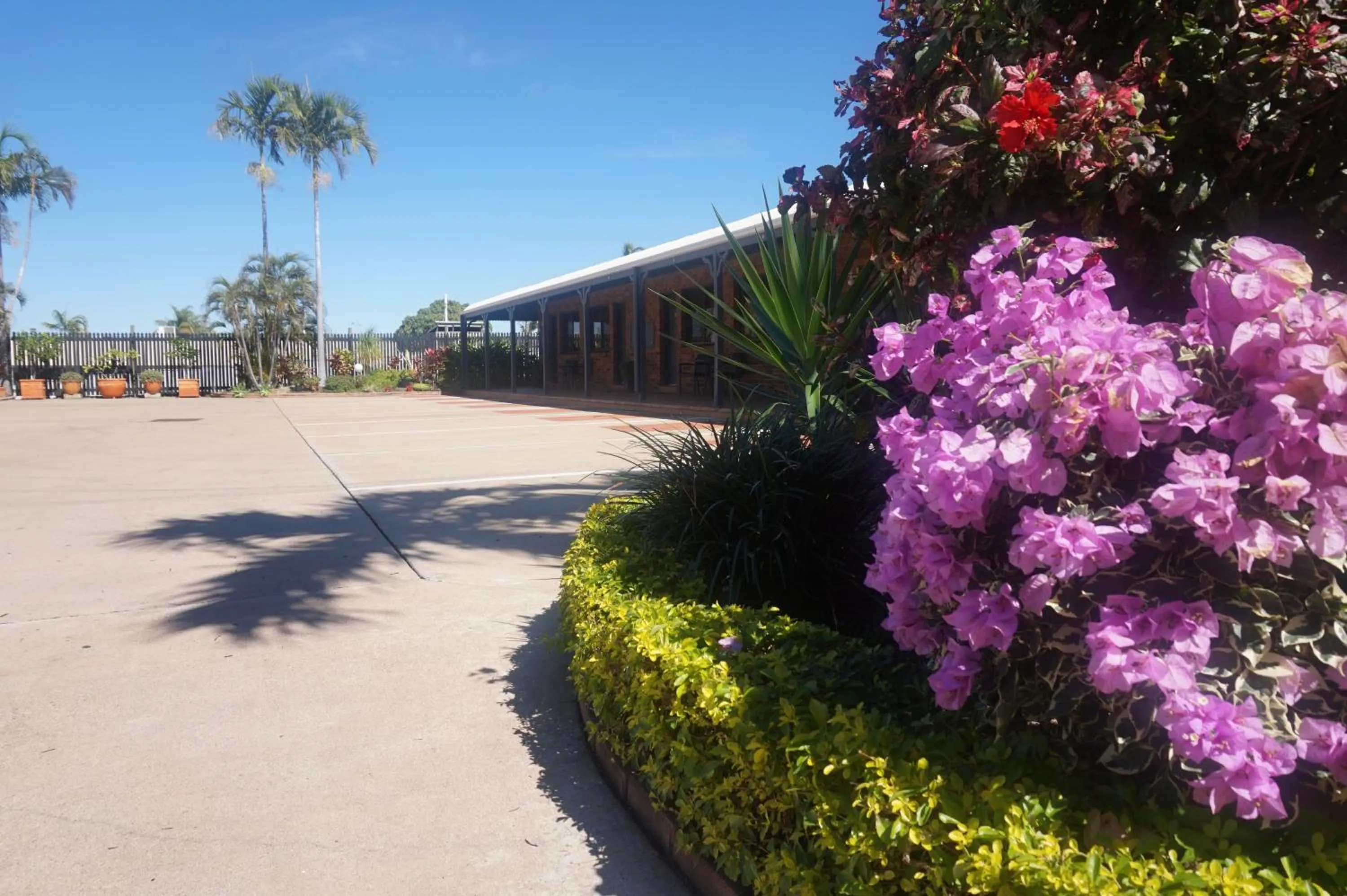 Natural landscape in Country Ayr Motel