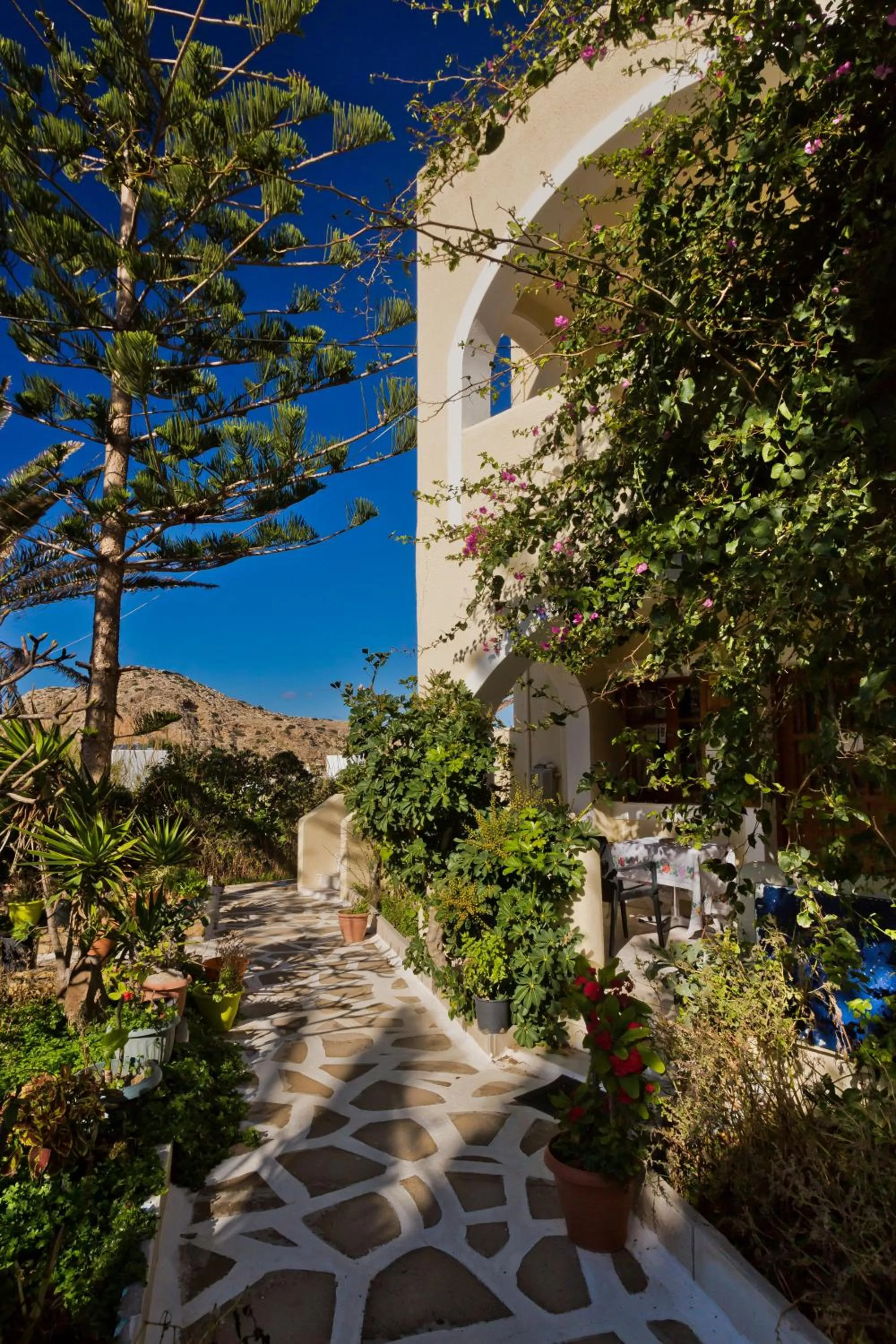 Garden in Montemar Studios & Apartments