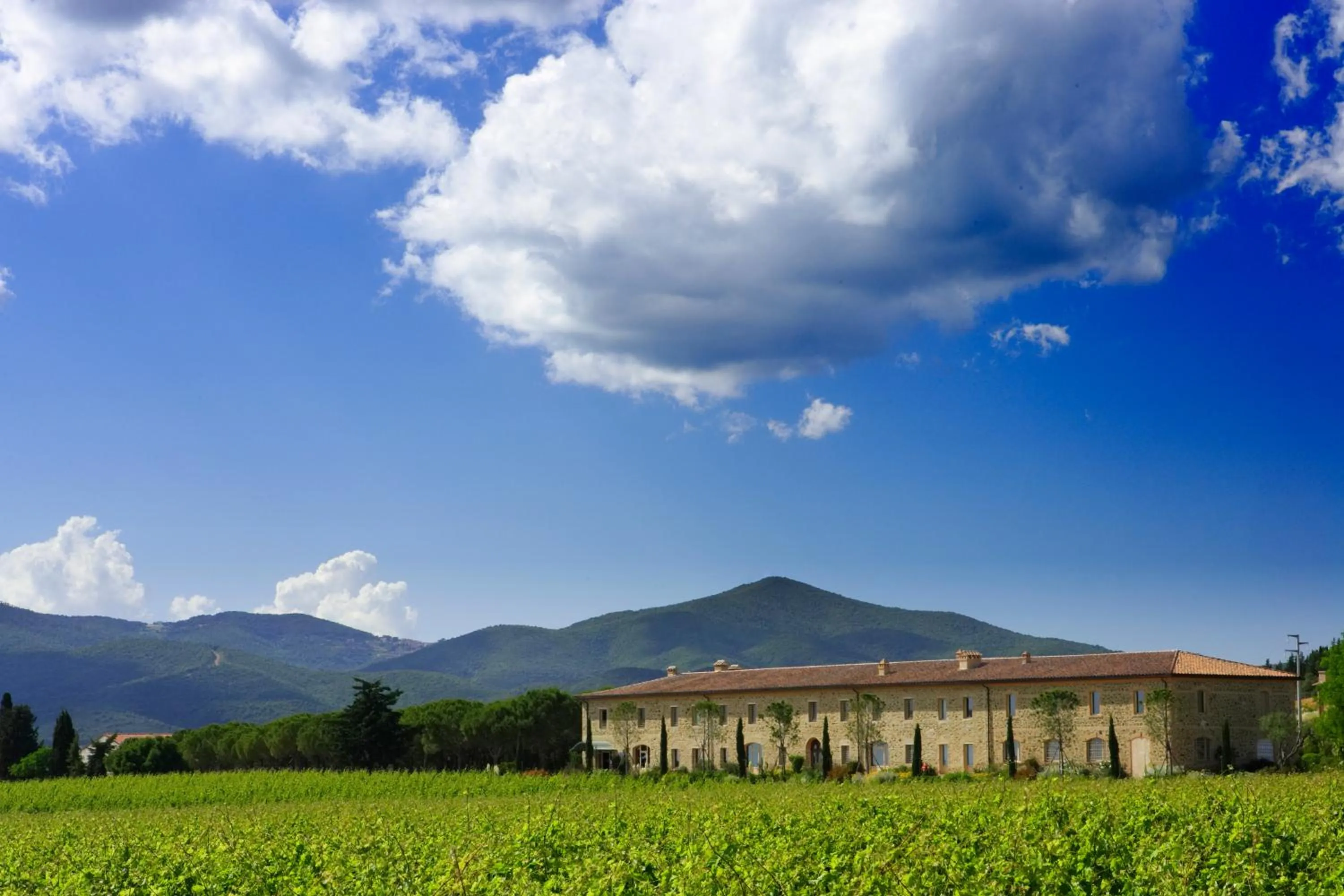 Garden in L'Andana Tenuta La Badiola