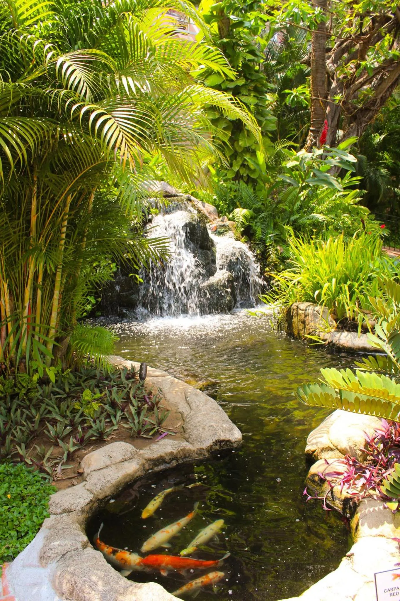 Decorative detail in Fiesta Americana Puerto Vallarta All Inclusive & Spa