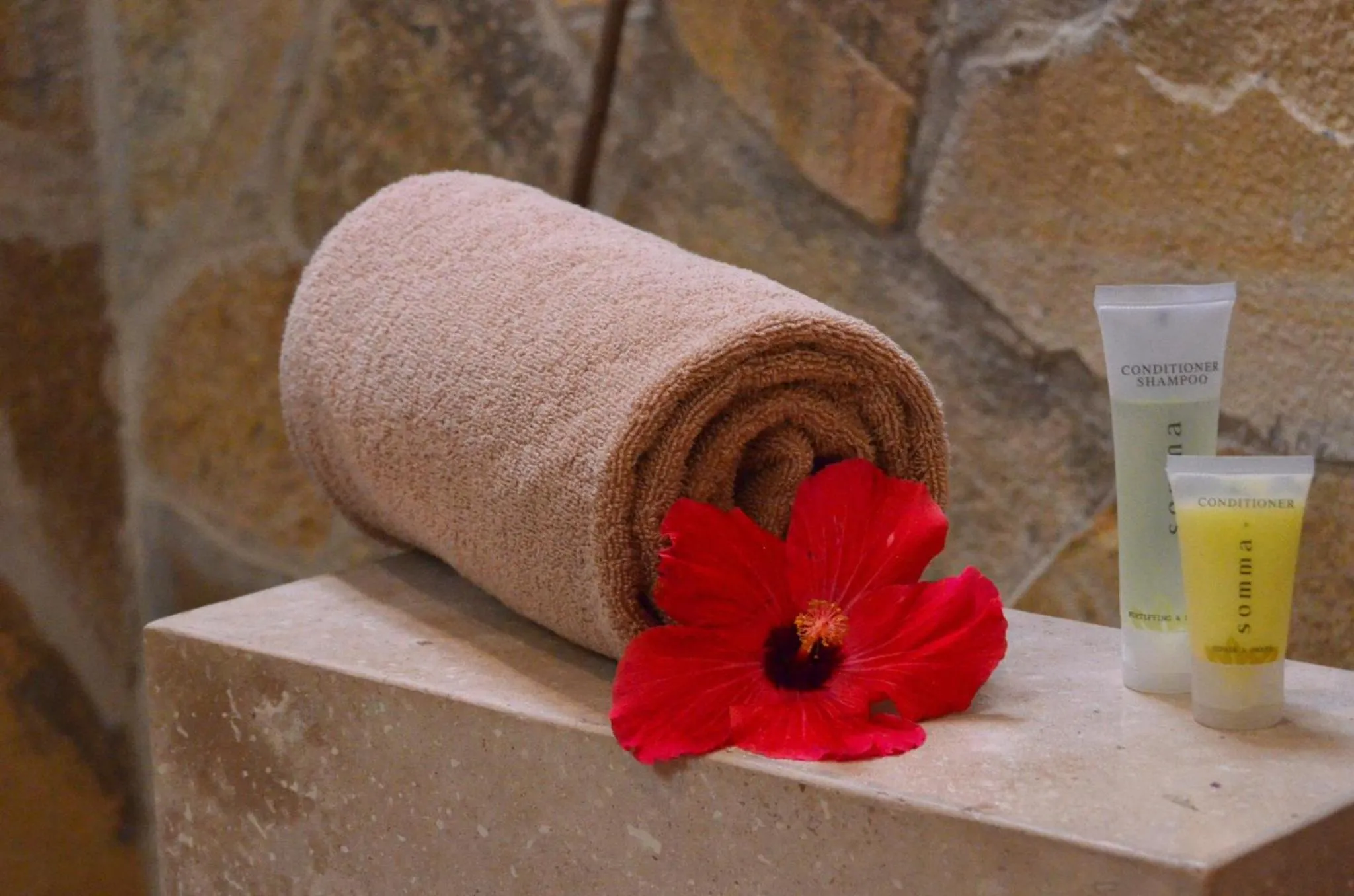Spa and wellness centre/facilities in Fiesta Americana Puerto Vallarta All Inclusive & Spa