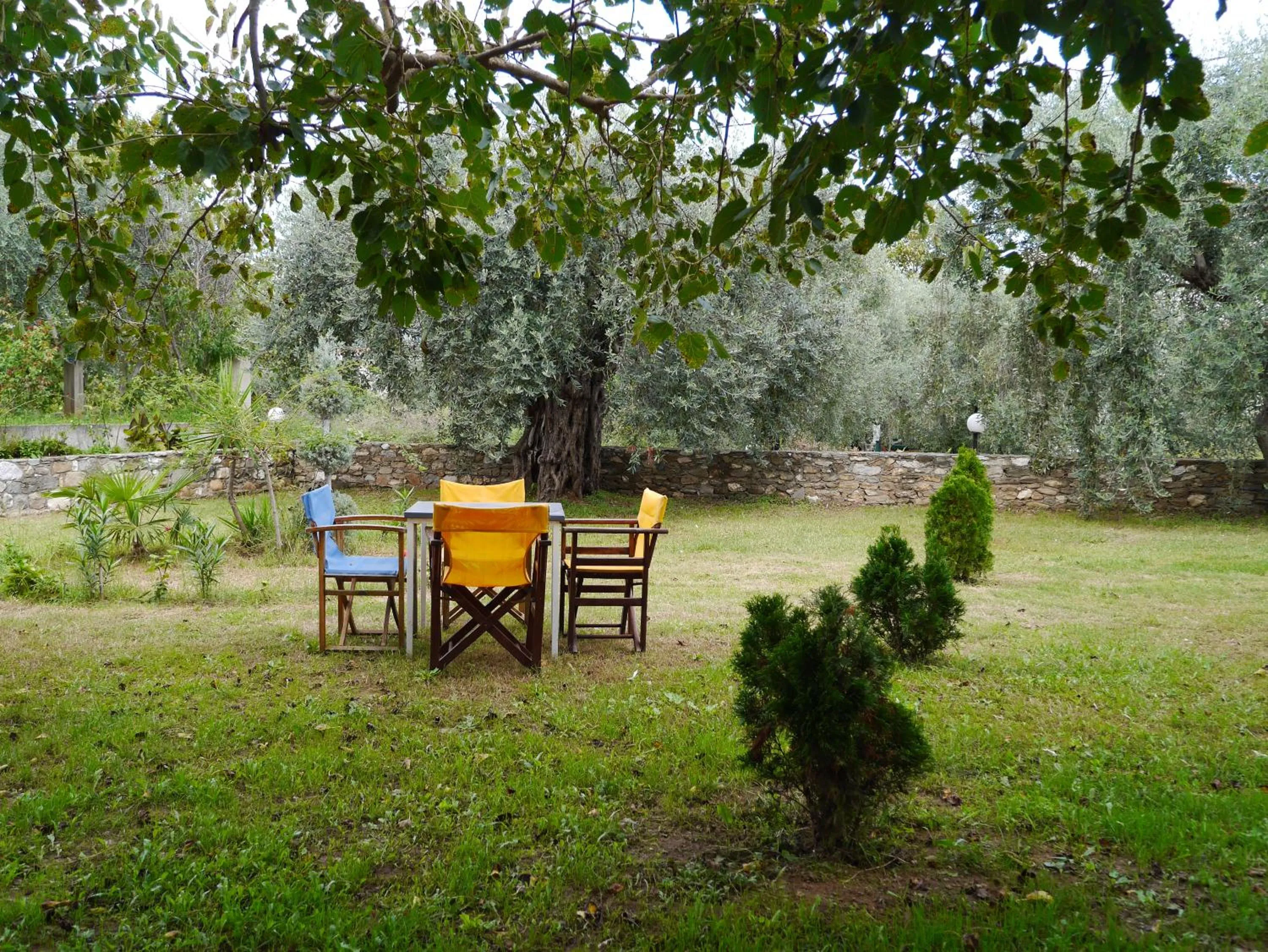 Garden in Blue Sky Villas