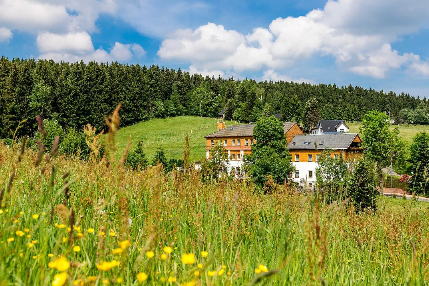 Landhaus Bergidyll