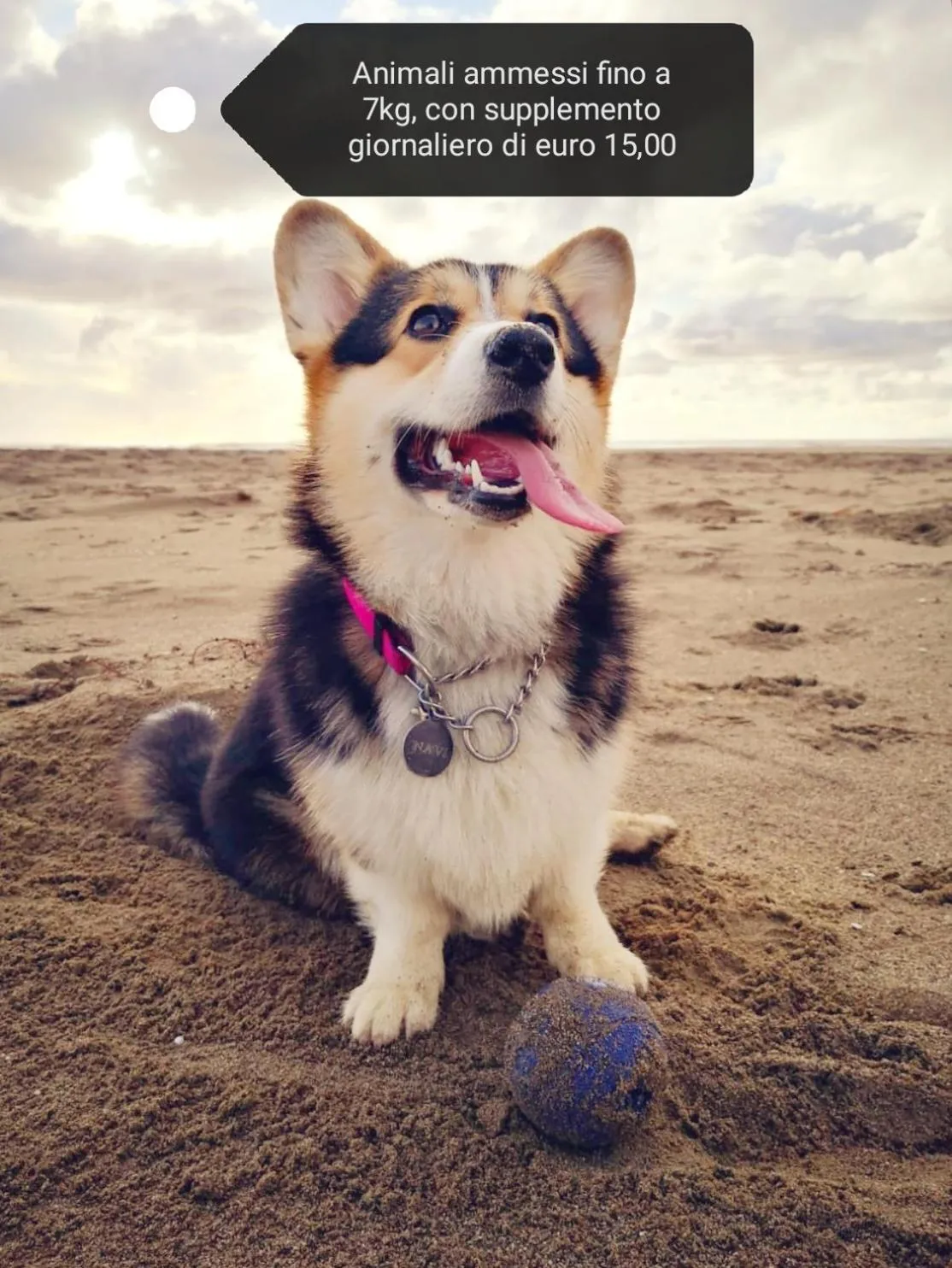 Beach in Ricci Hotel - Marina di Grosseto