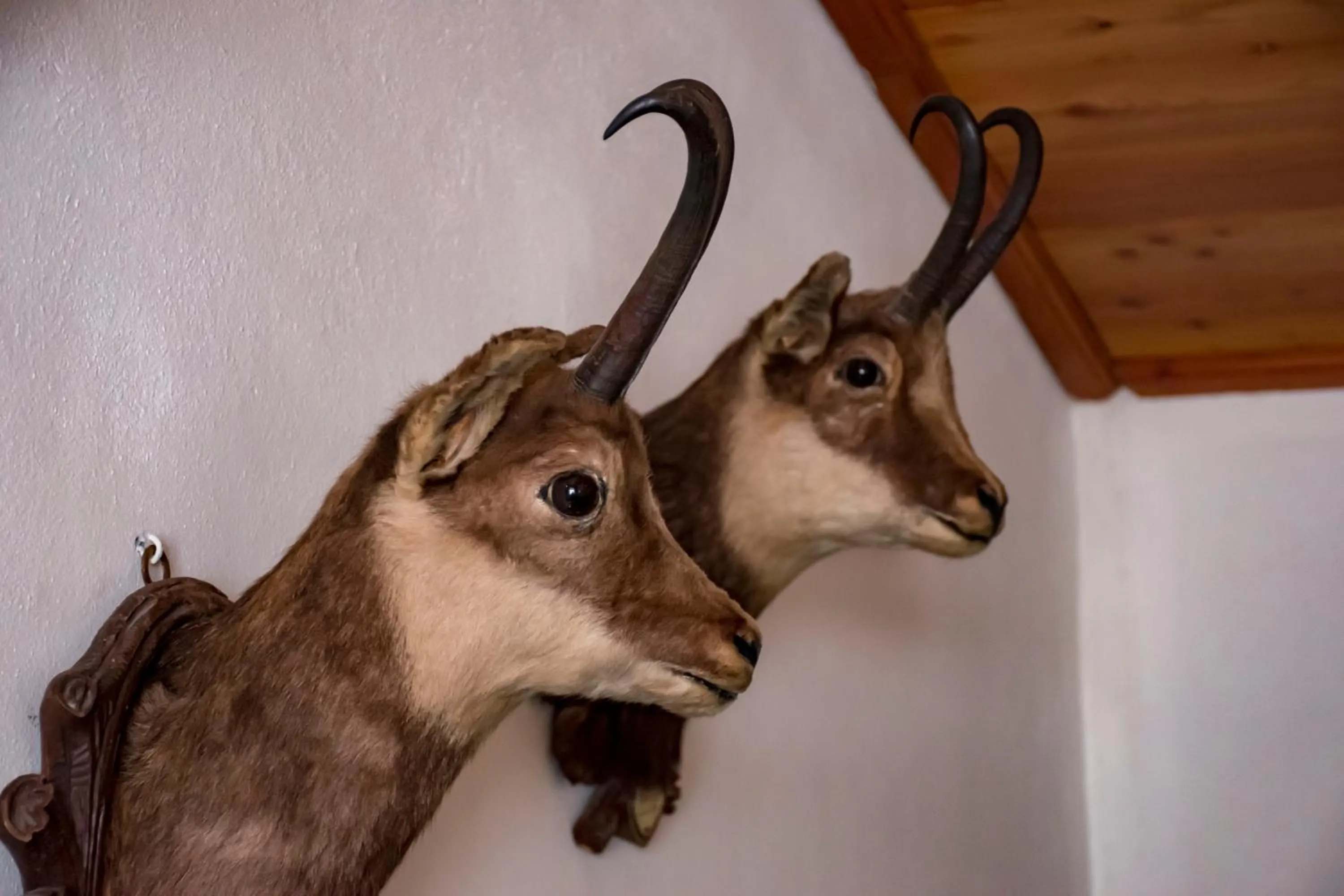 Decorative detail in Hotel La Villa della Regina