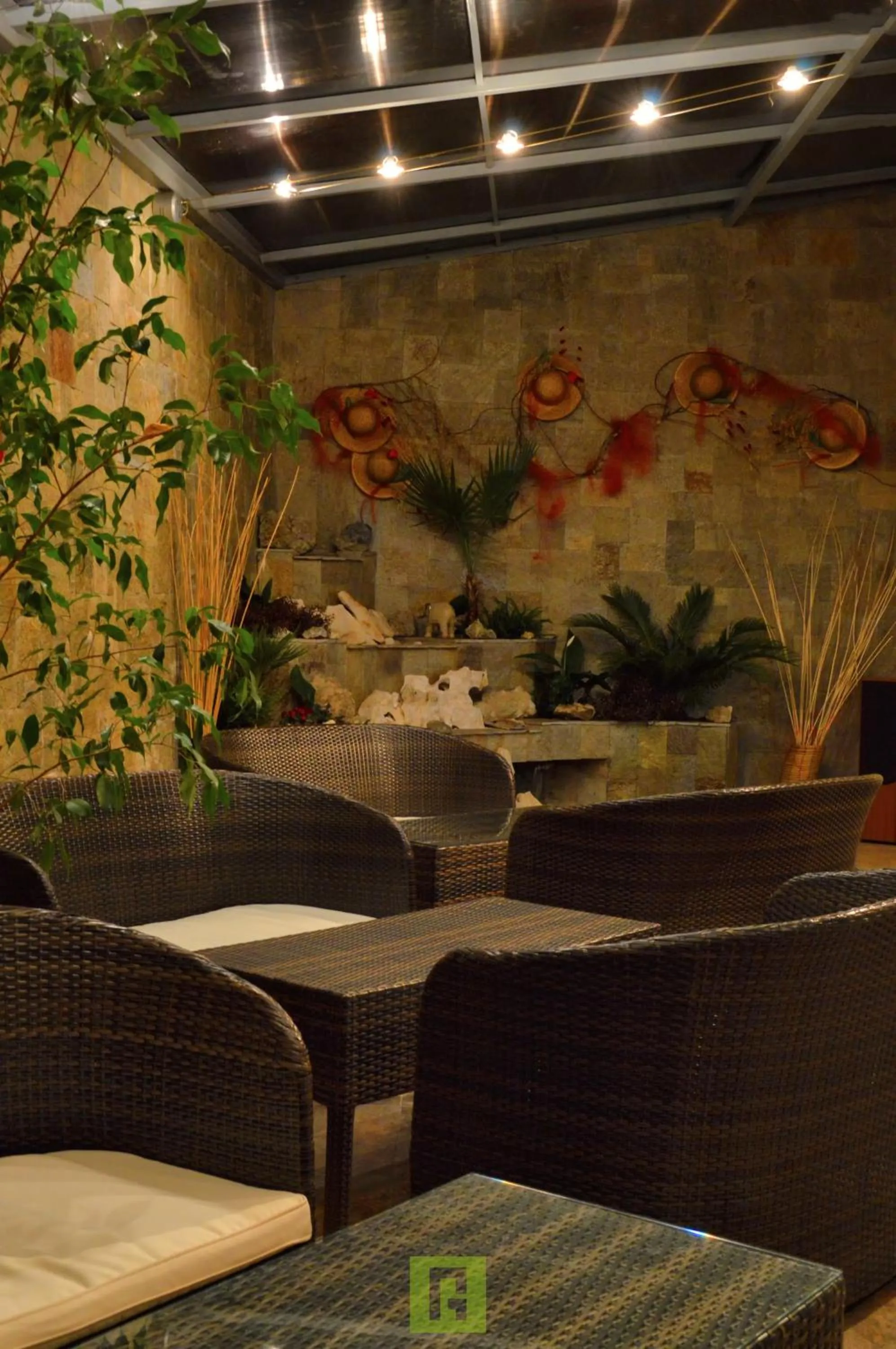 Garden in Hotel Avis