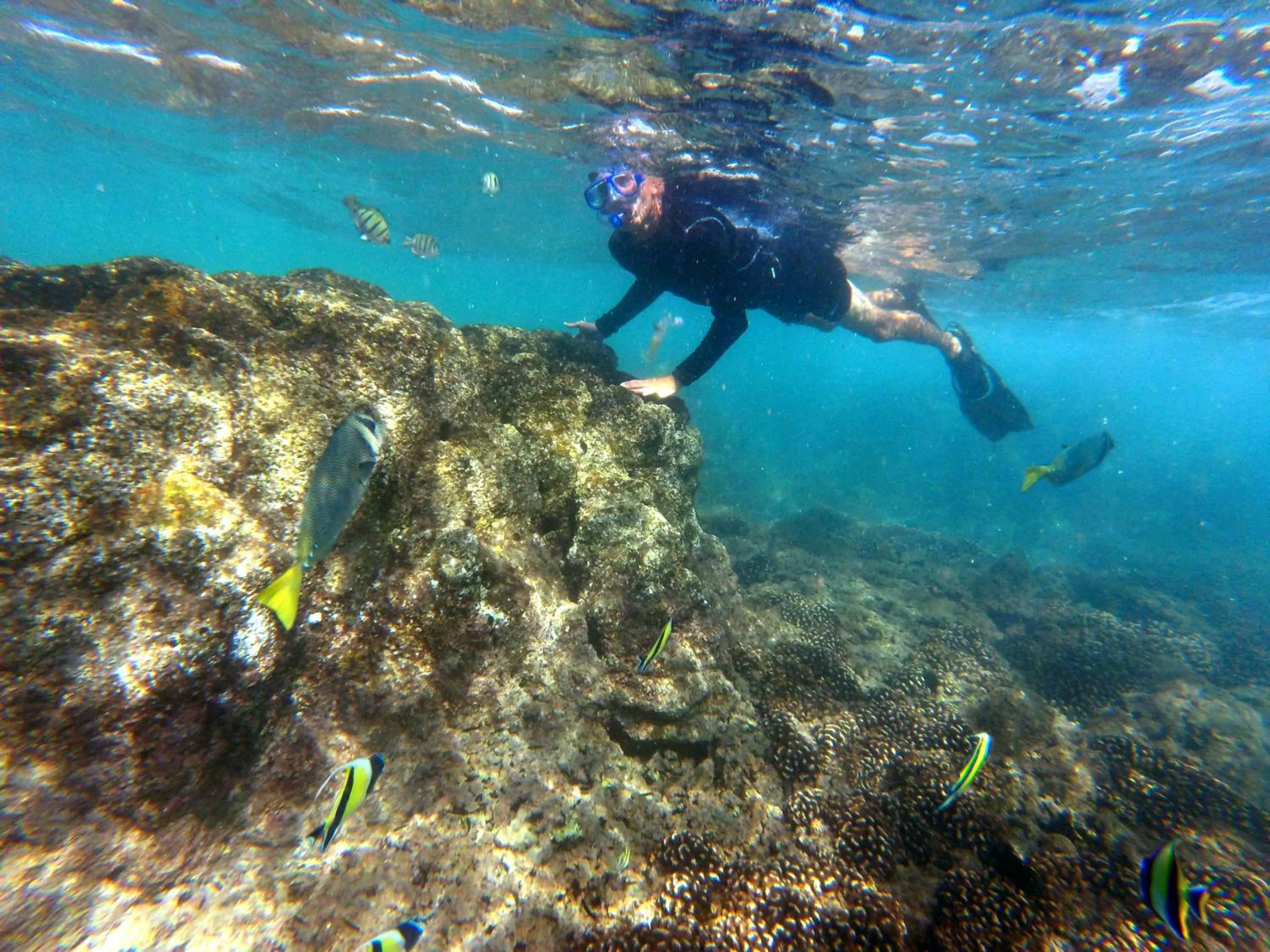 Fitness centre/facilities in Grand Fiesta Americana Los Cabos All Inclusive Golf & Spa