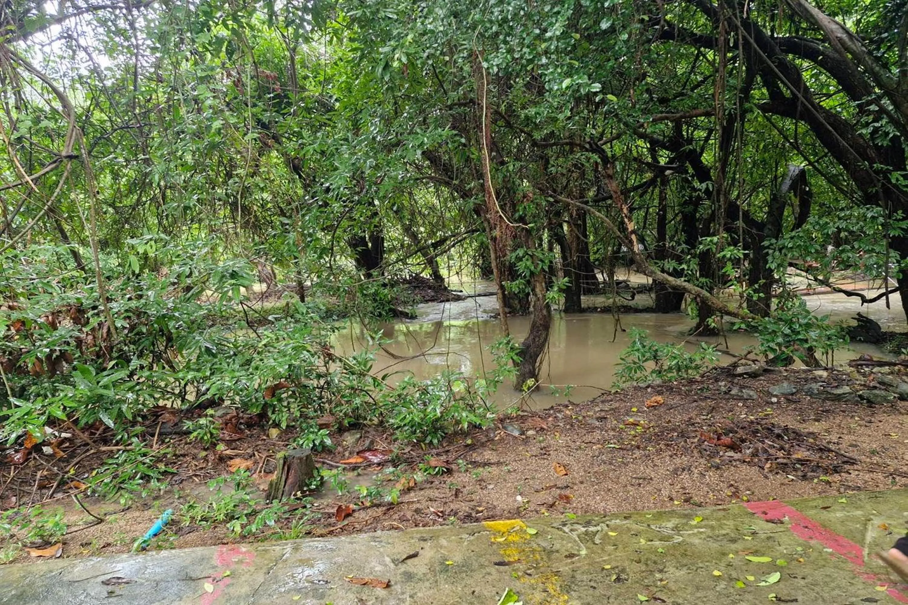 River view in Tontarn Resort and Spa
