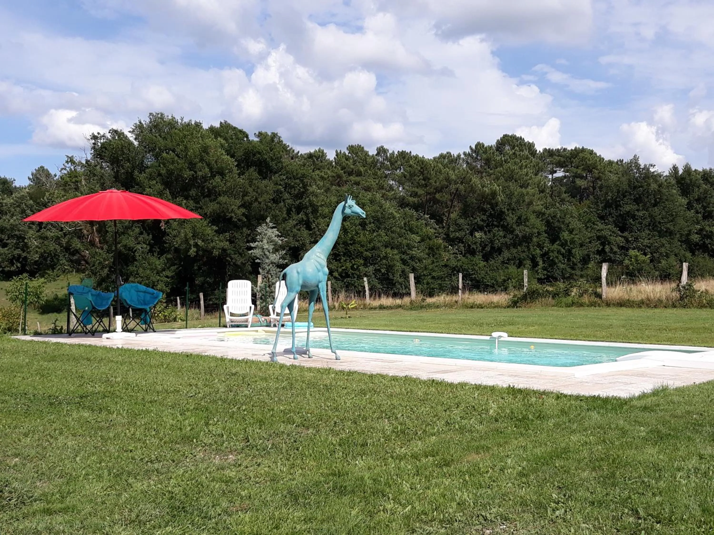 Activities in La Girafe Bleue