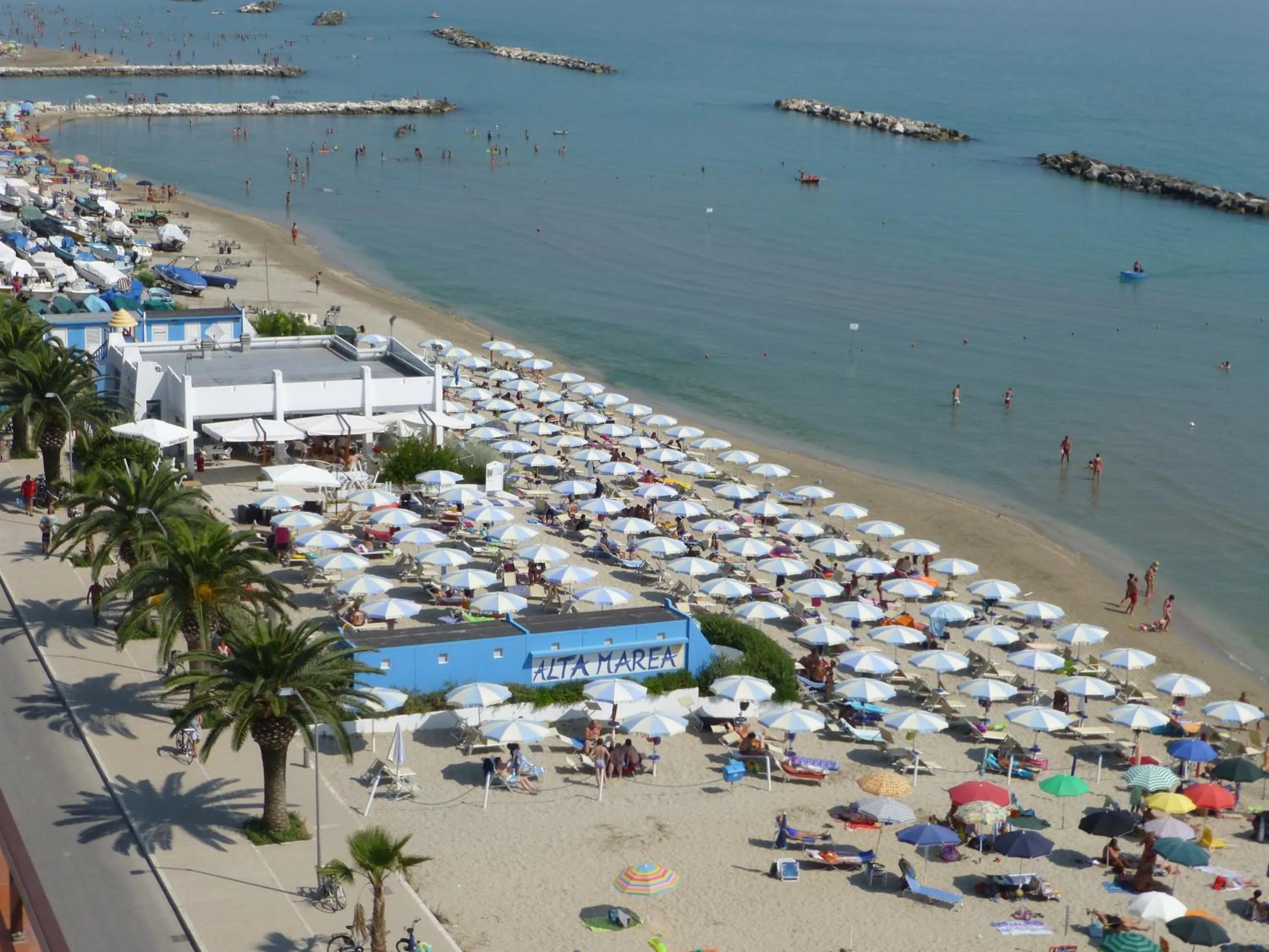 Day in Residence I Delfini