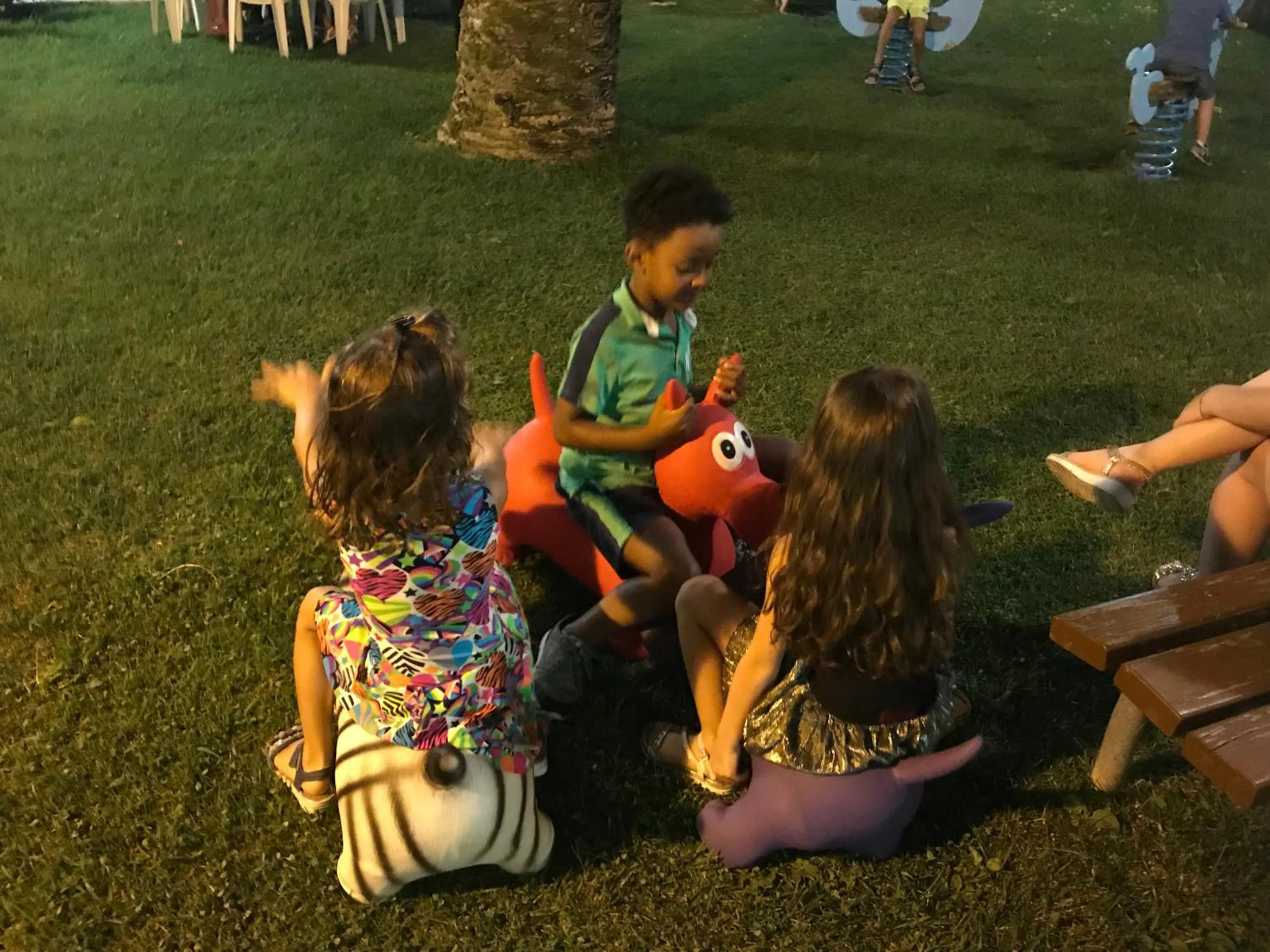 Entertainment in Residence I Delfini