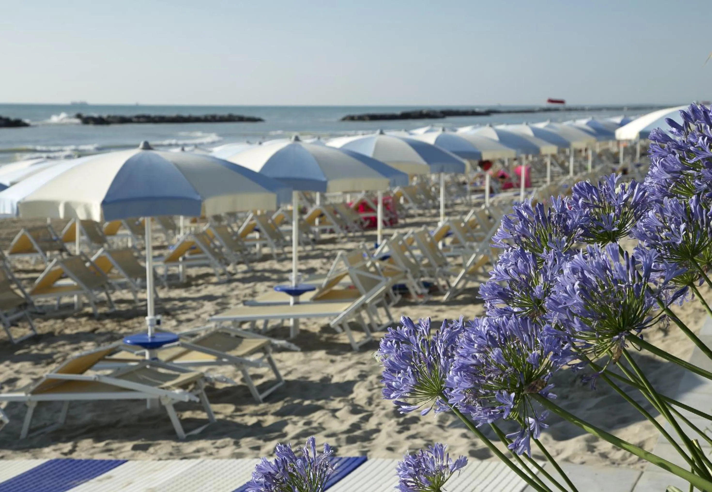 Beach in Residence I Delfini