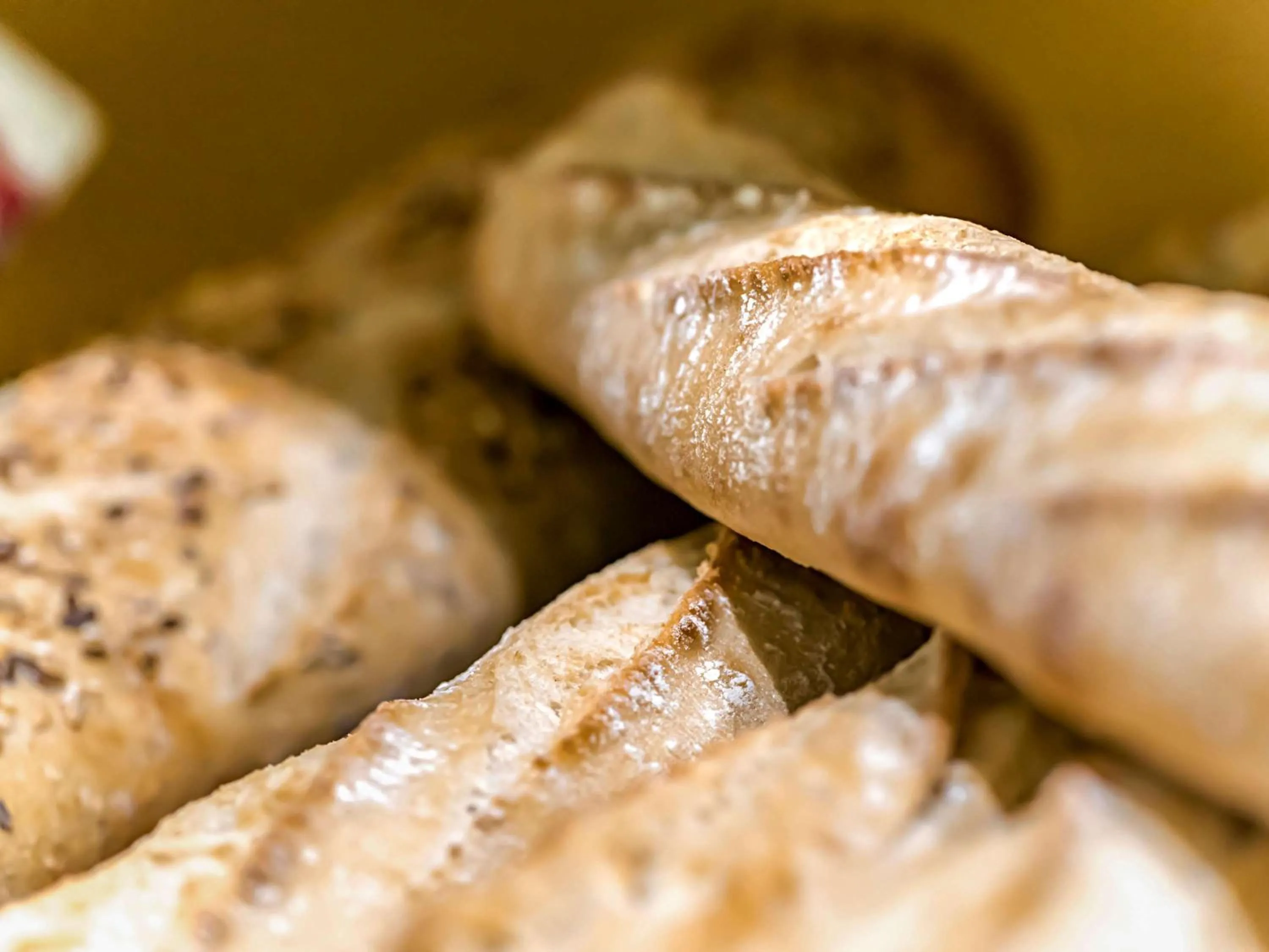 Restaurant/places to eat in ibis budget Strasbourg Sud Illkirch