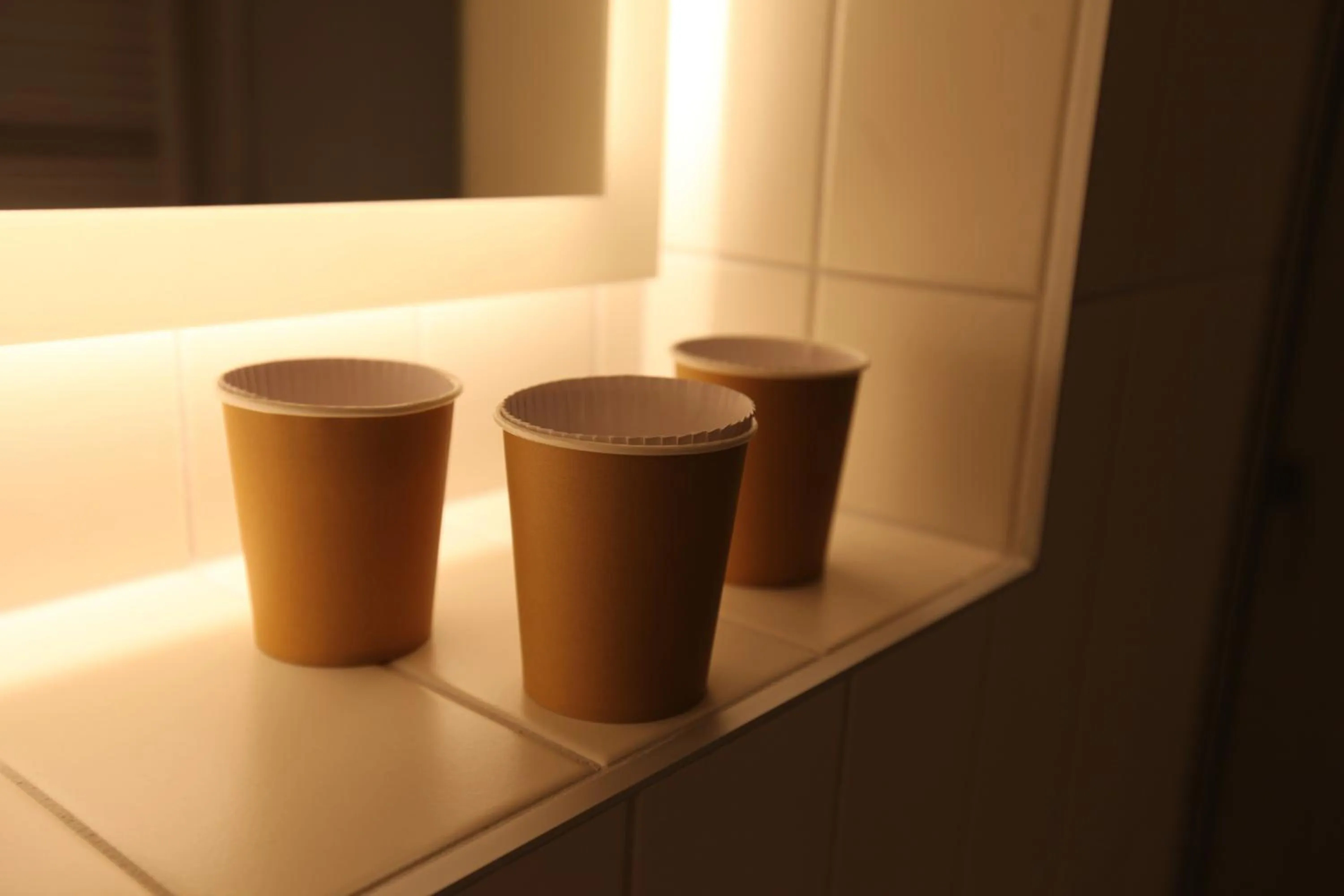 Bathroom in ibis budget Strasbourg Sud Illkirch