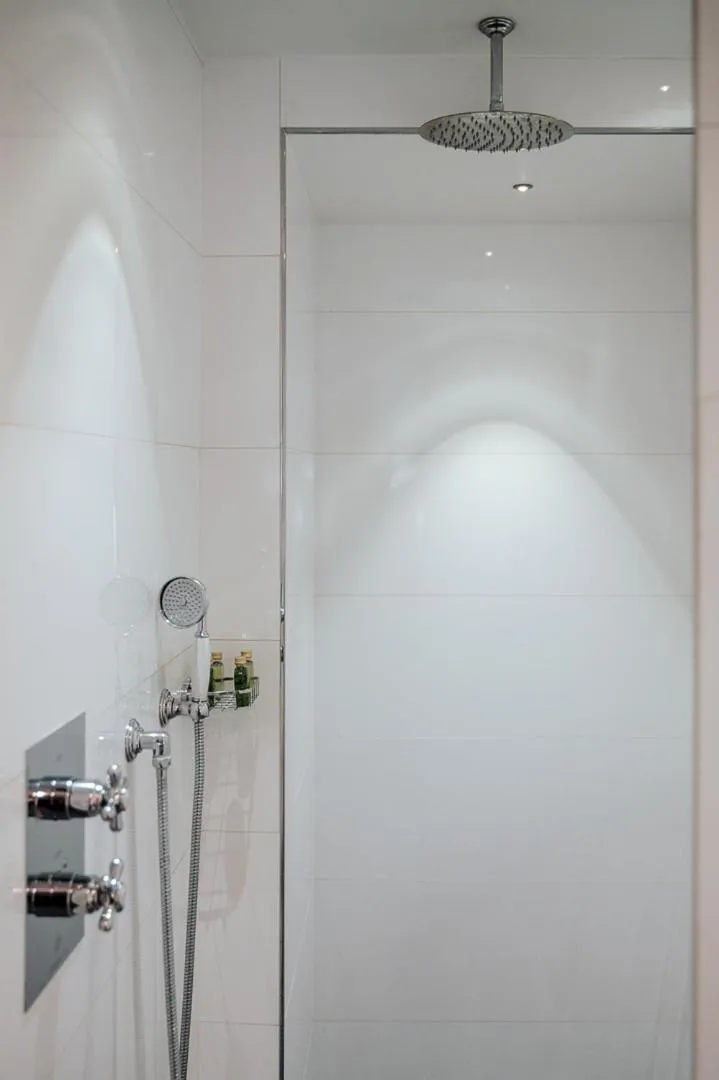 Shower in Hôtel & Spa Le Bouclier D'or