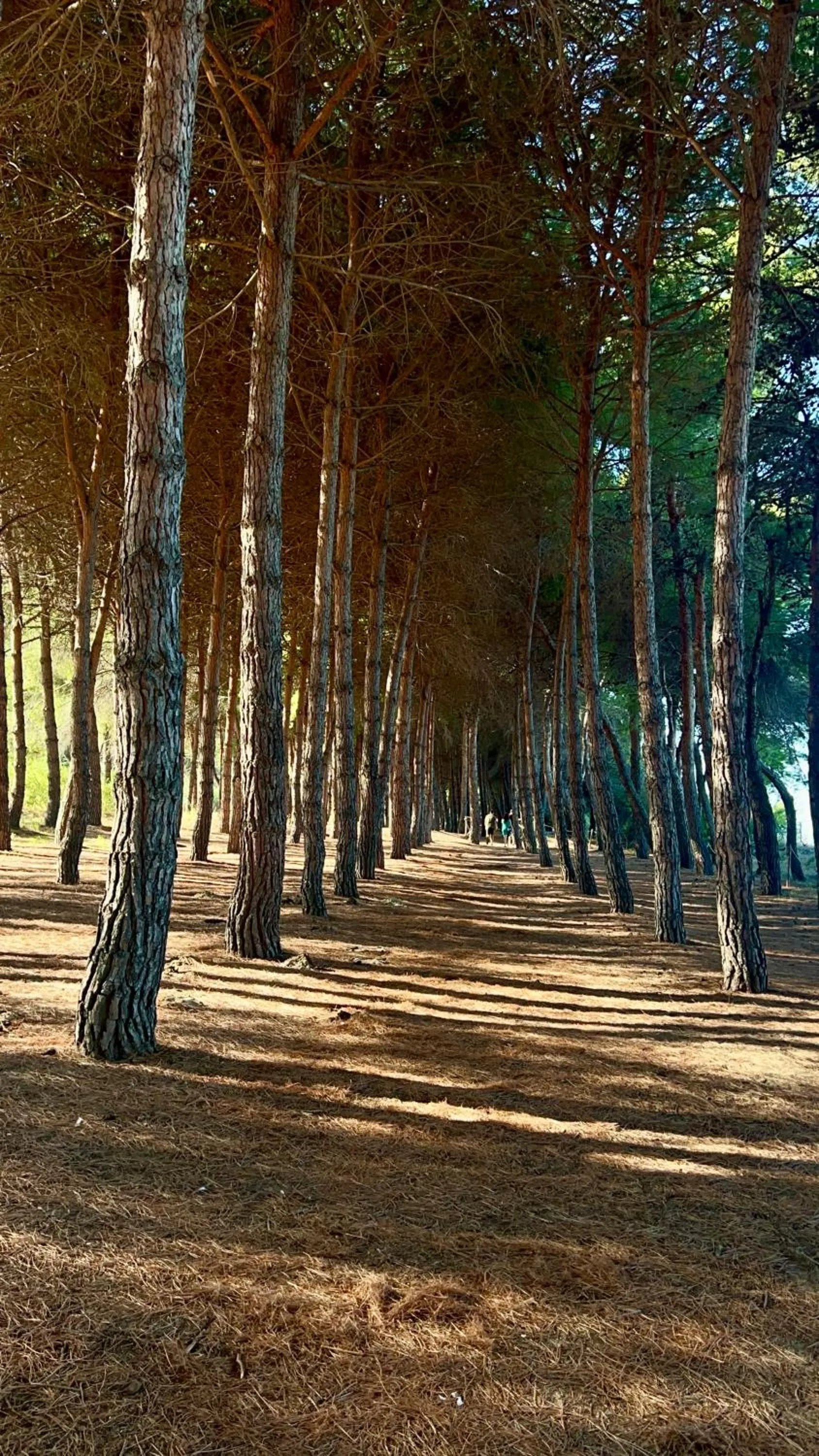 Nearby landmark in Bedrooms B&B