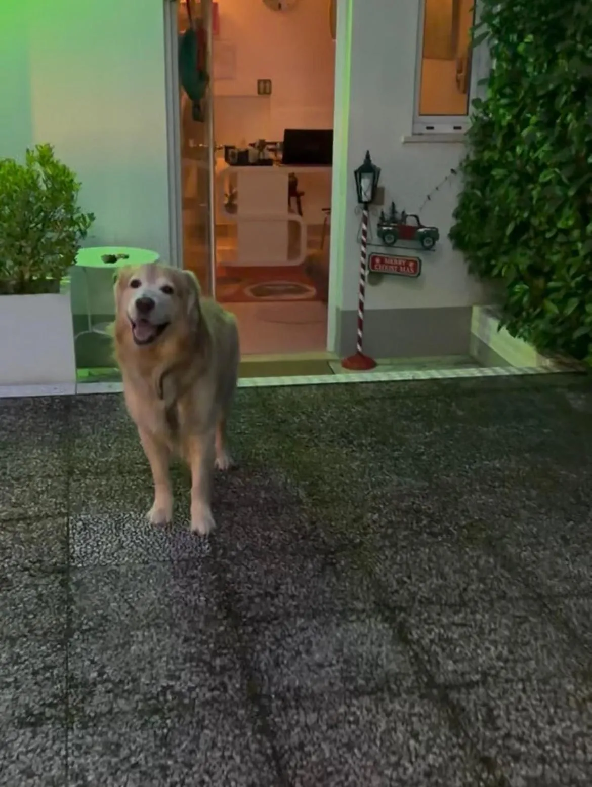 Pets in Bedrooms B&B