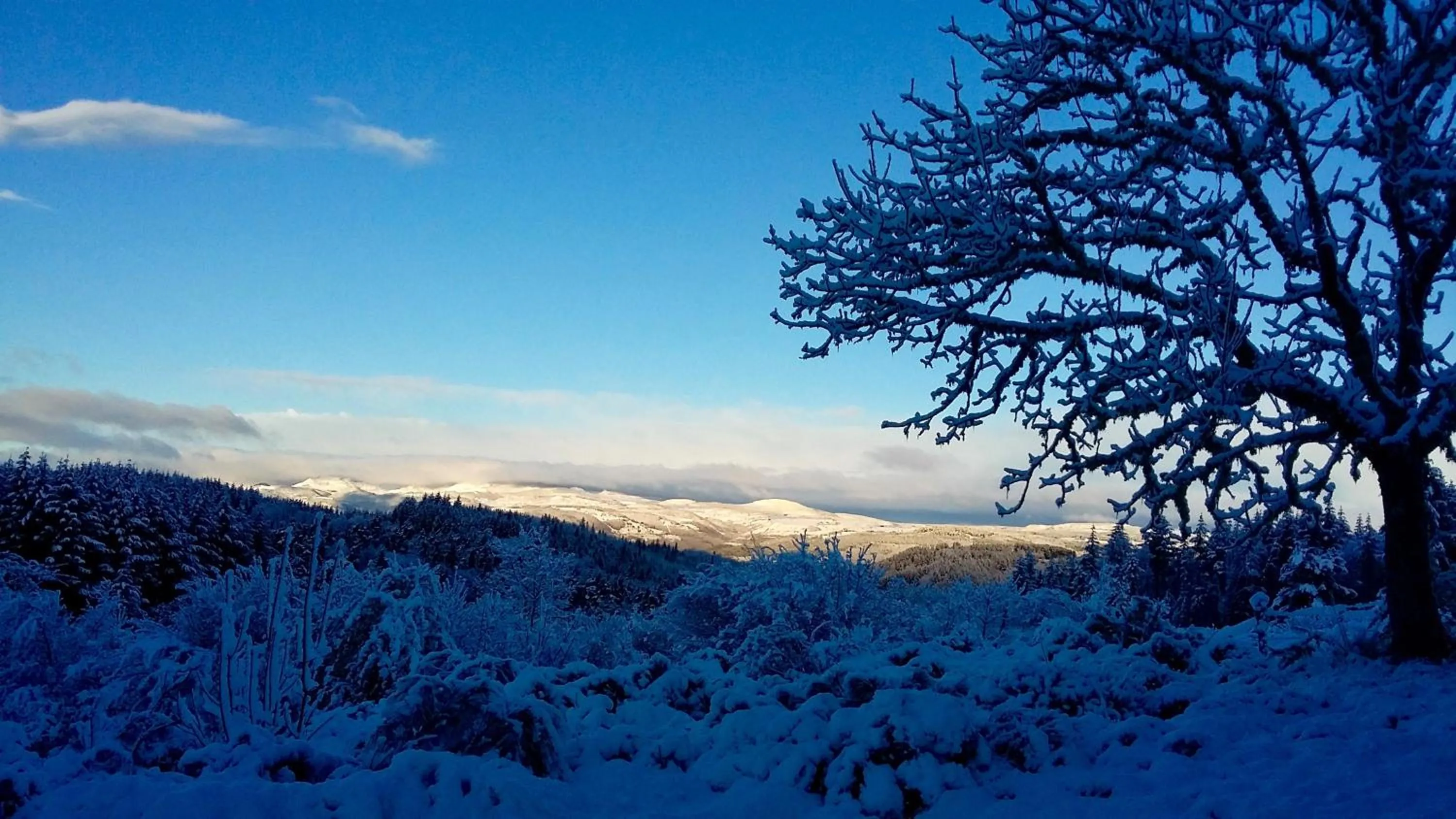 Natural landscape in Domaine de Rilhac