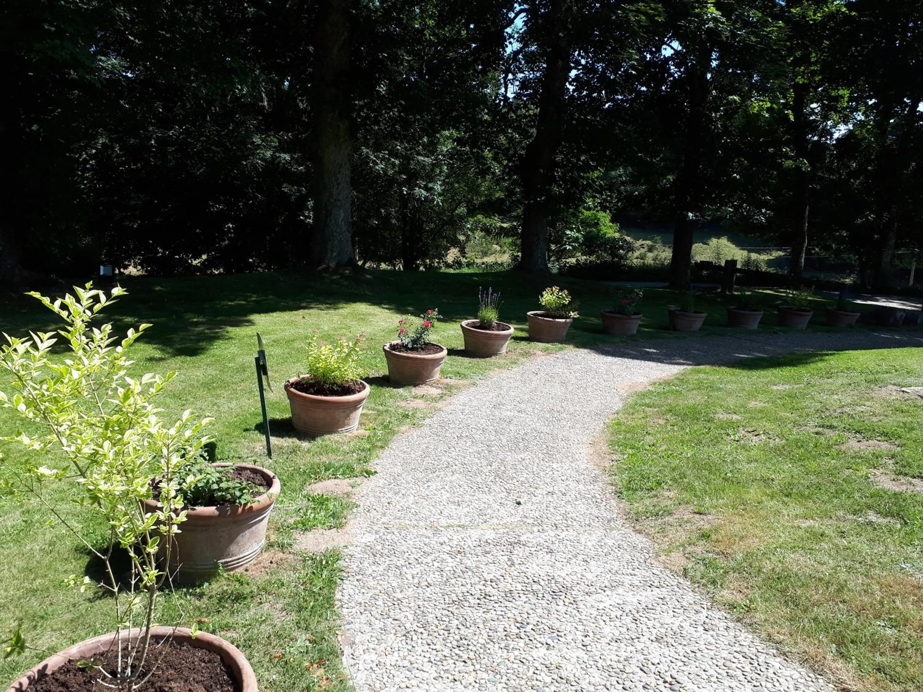 Garden in Domaine de Rilhac