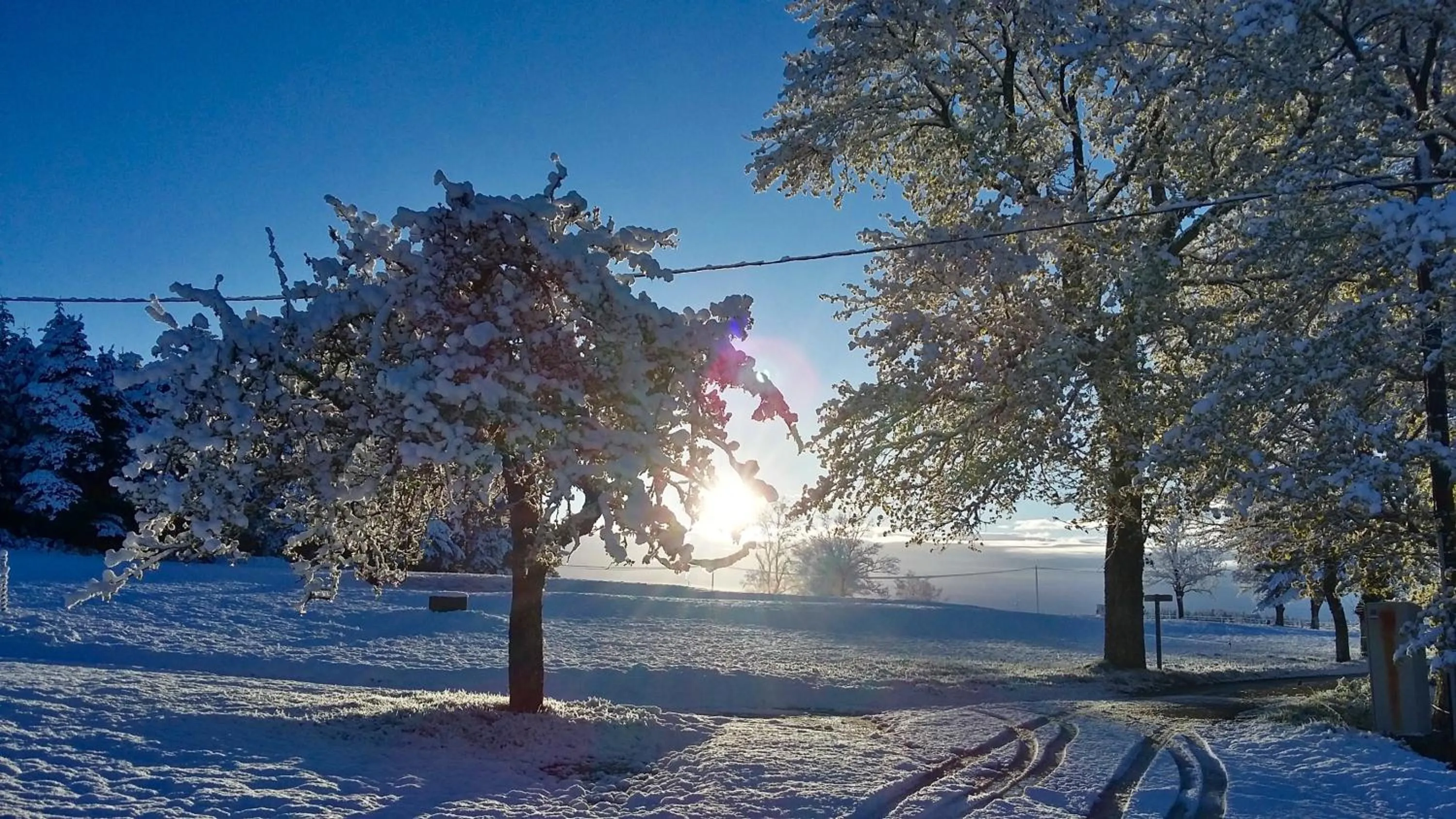 Natural landscape in Domaine de Rilhac