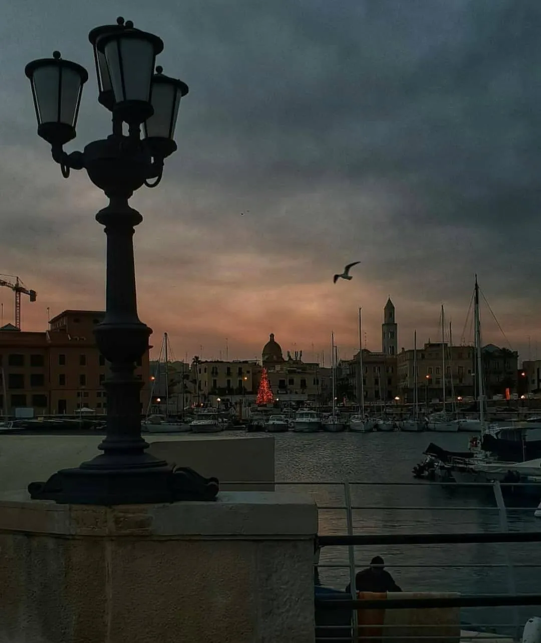 Nearby landmark in De Rossi Holiday