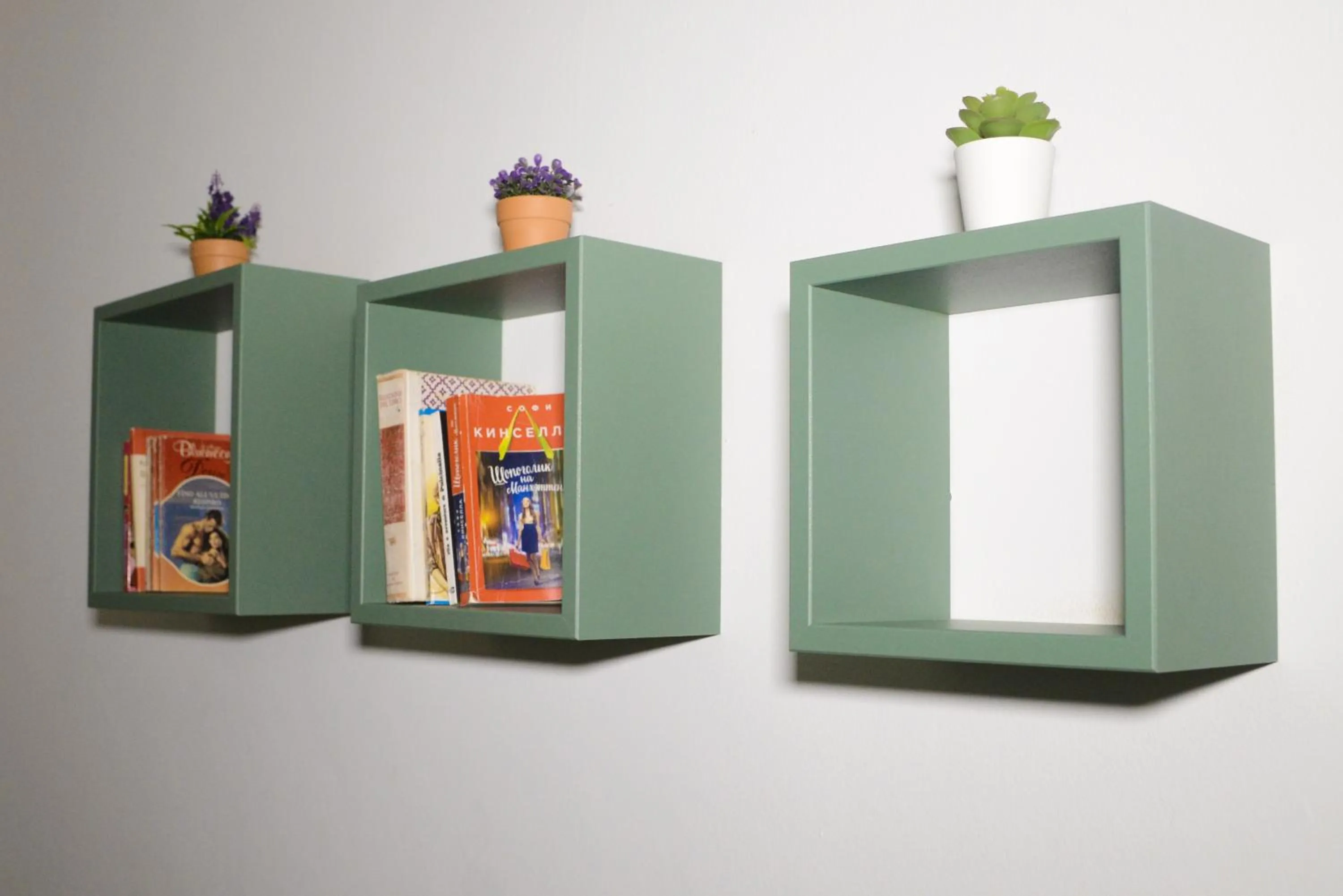 Library in De Rossi Holiday