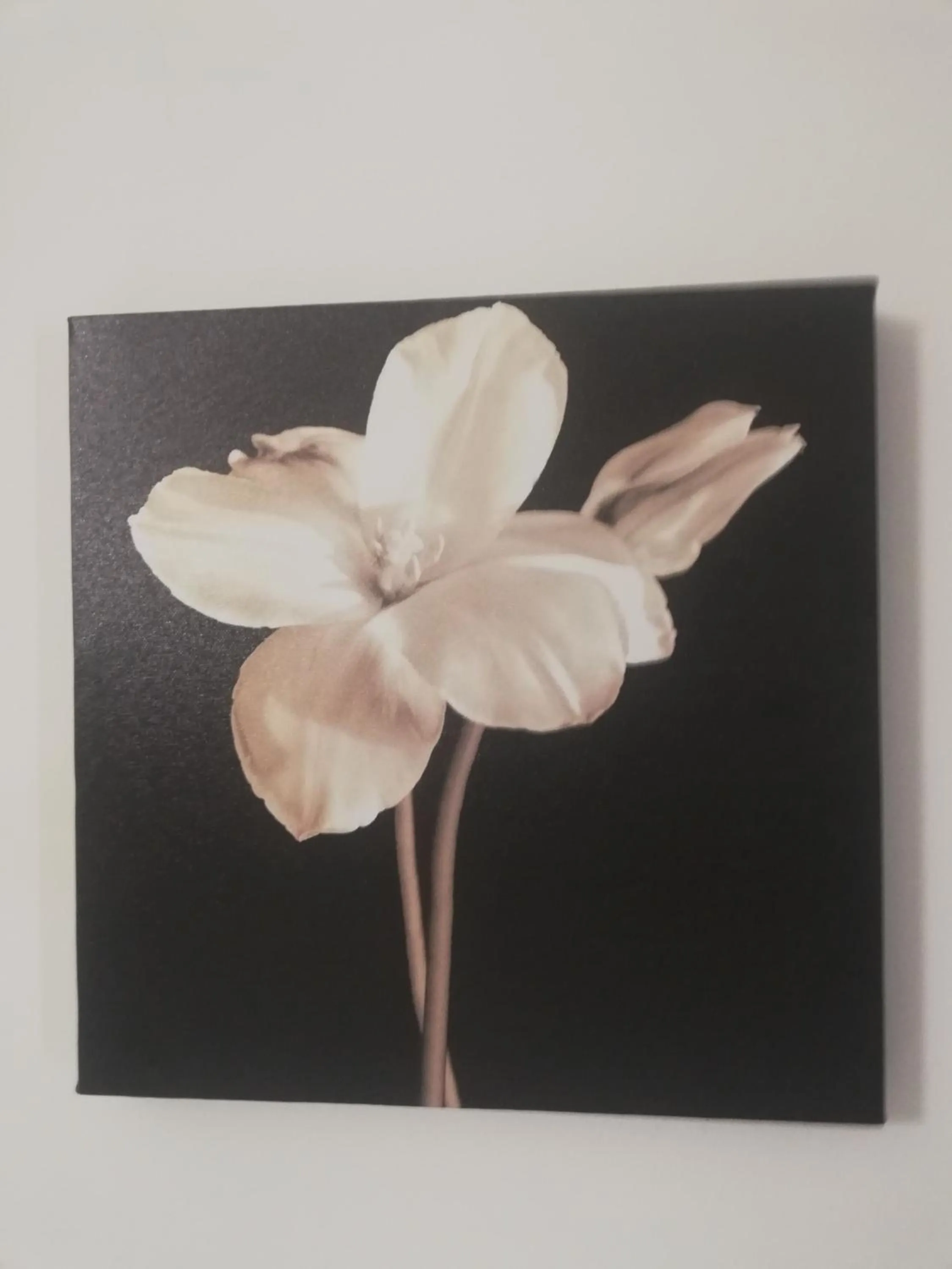 View (from property/room) in De Rossi Holiday