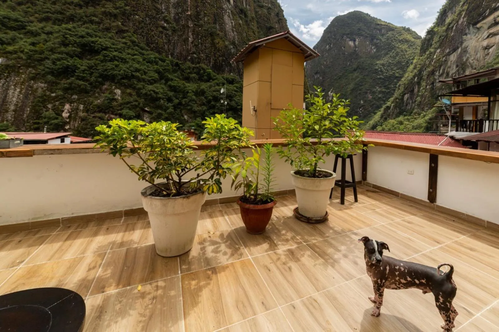 Gringo Bill's Boutique Hotel