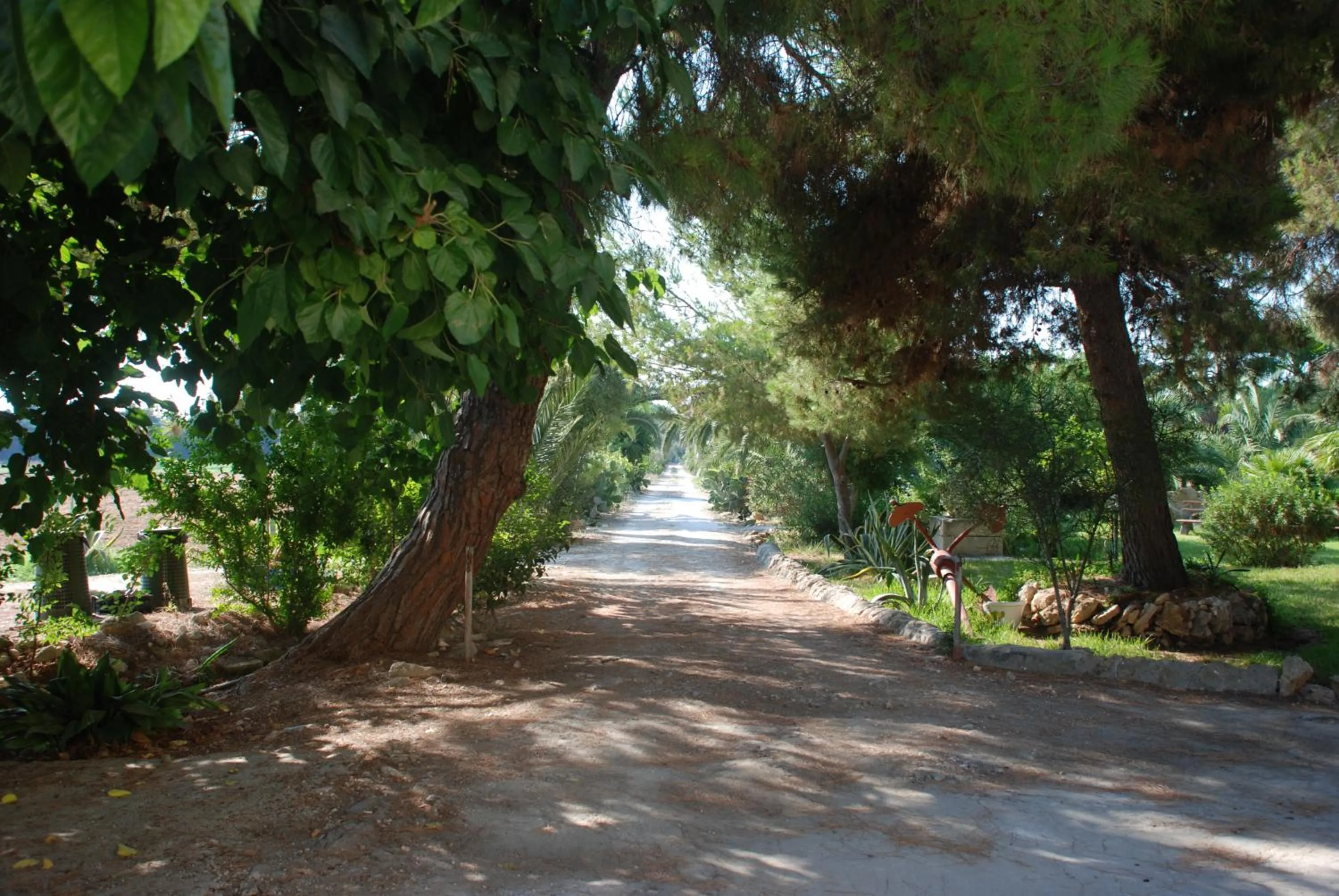 Facade/entrance in Terrauzza Sul Mare di Renata Emmolo