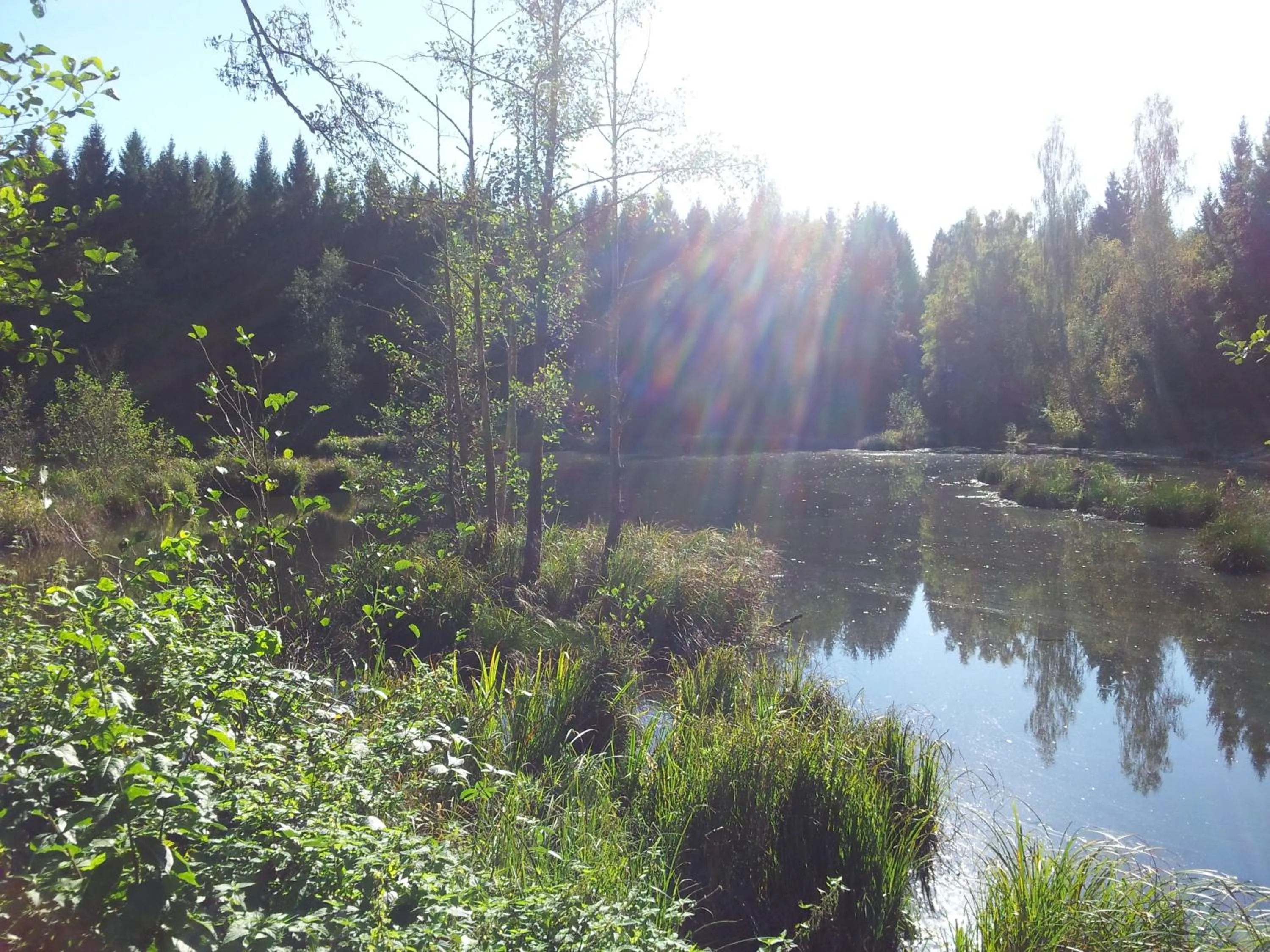 Natural landscape in Autenrieder Brauereigasthof