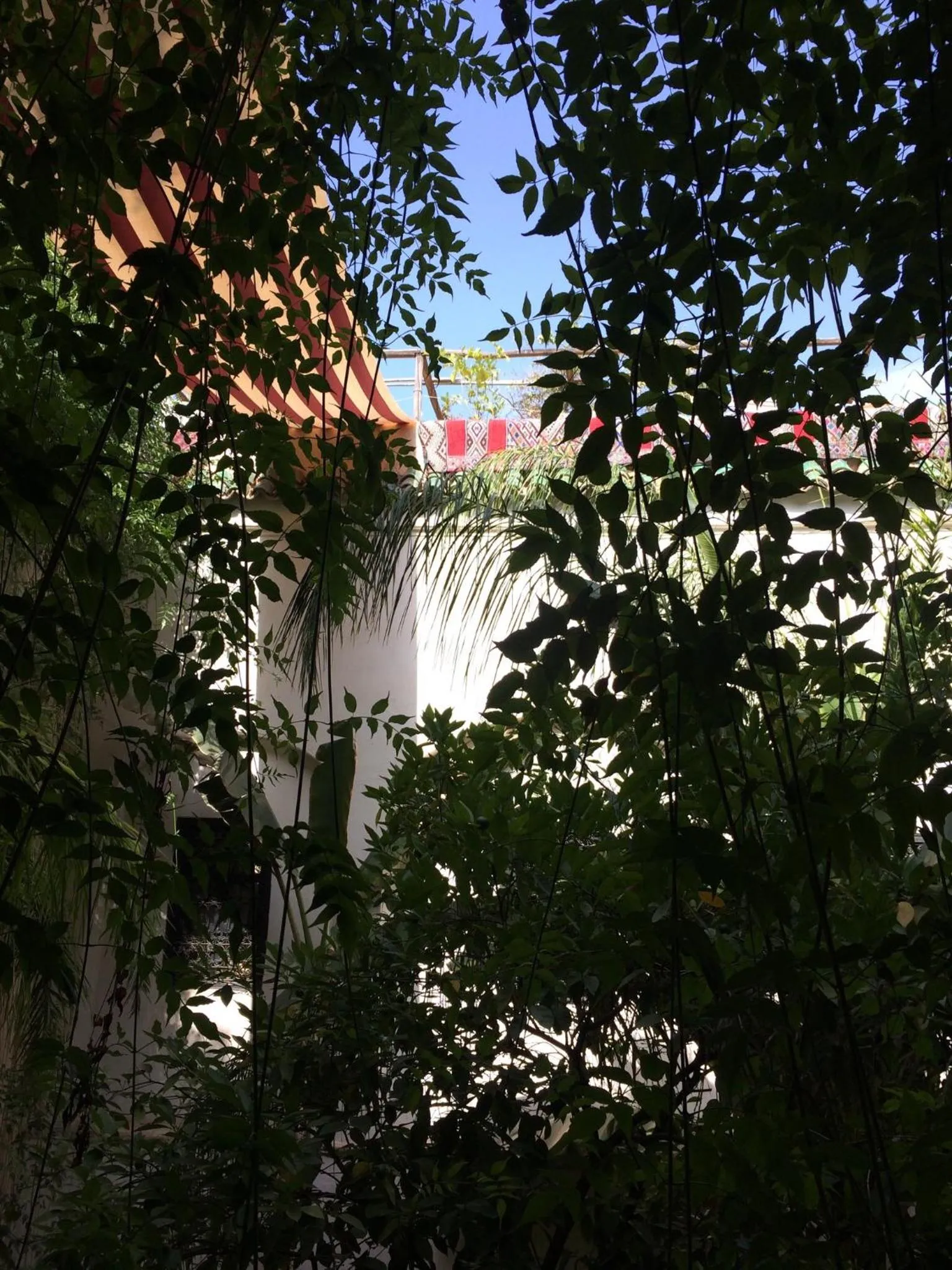 Patio in Riad Tibibt