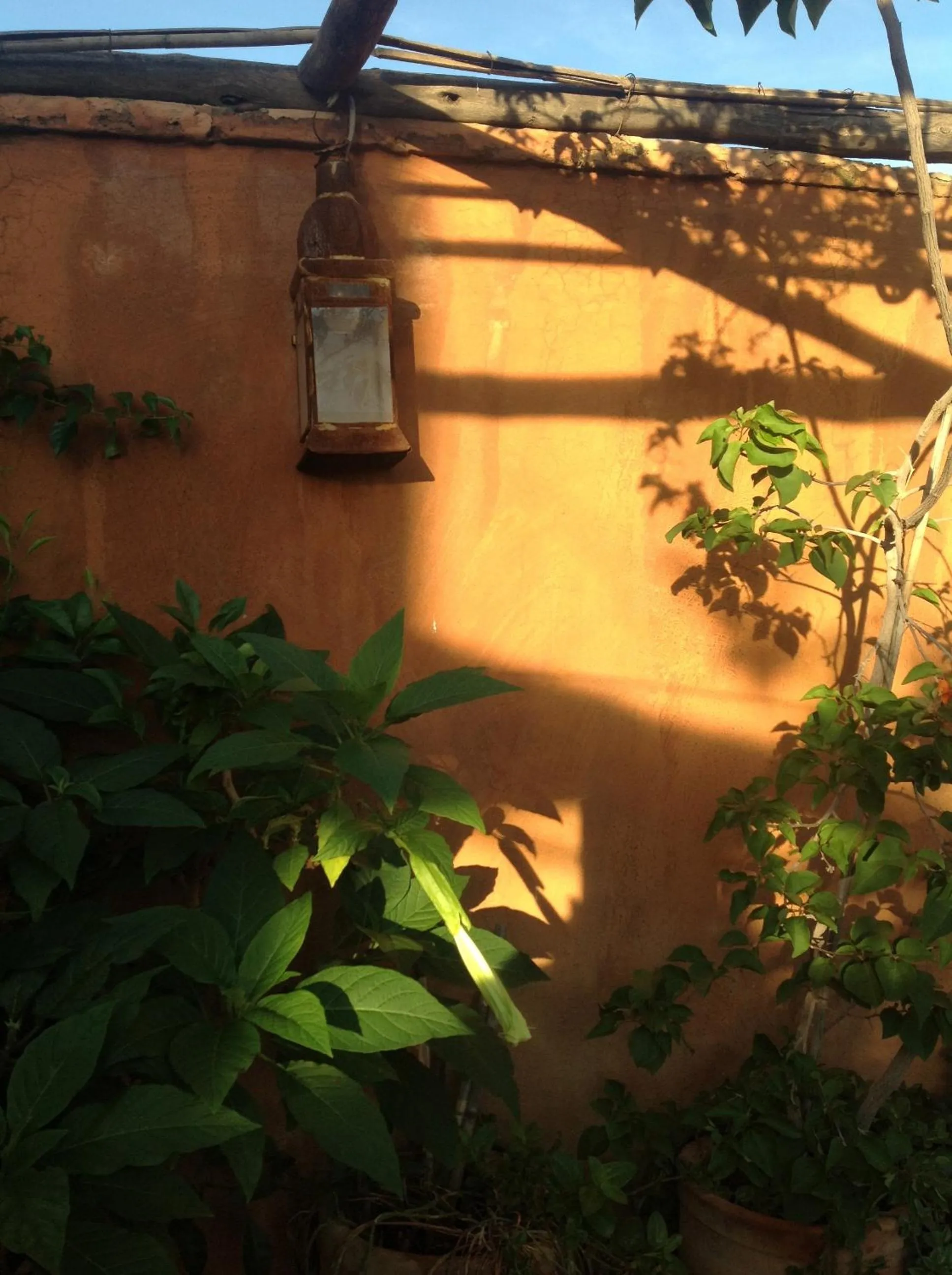 Balcony/Terrace in Riad Tibibt