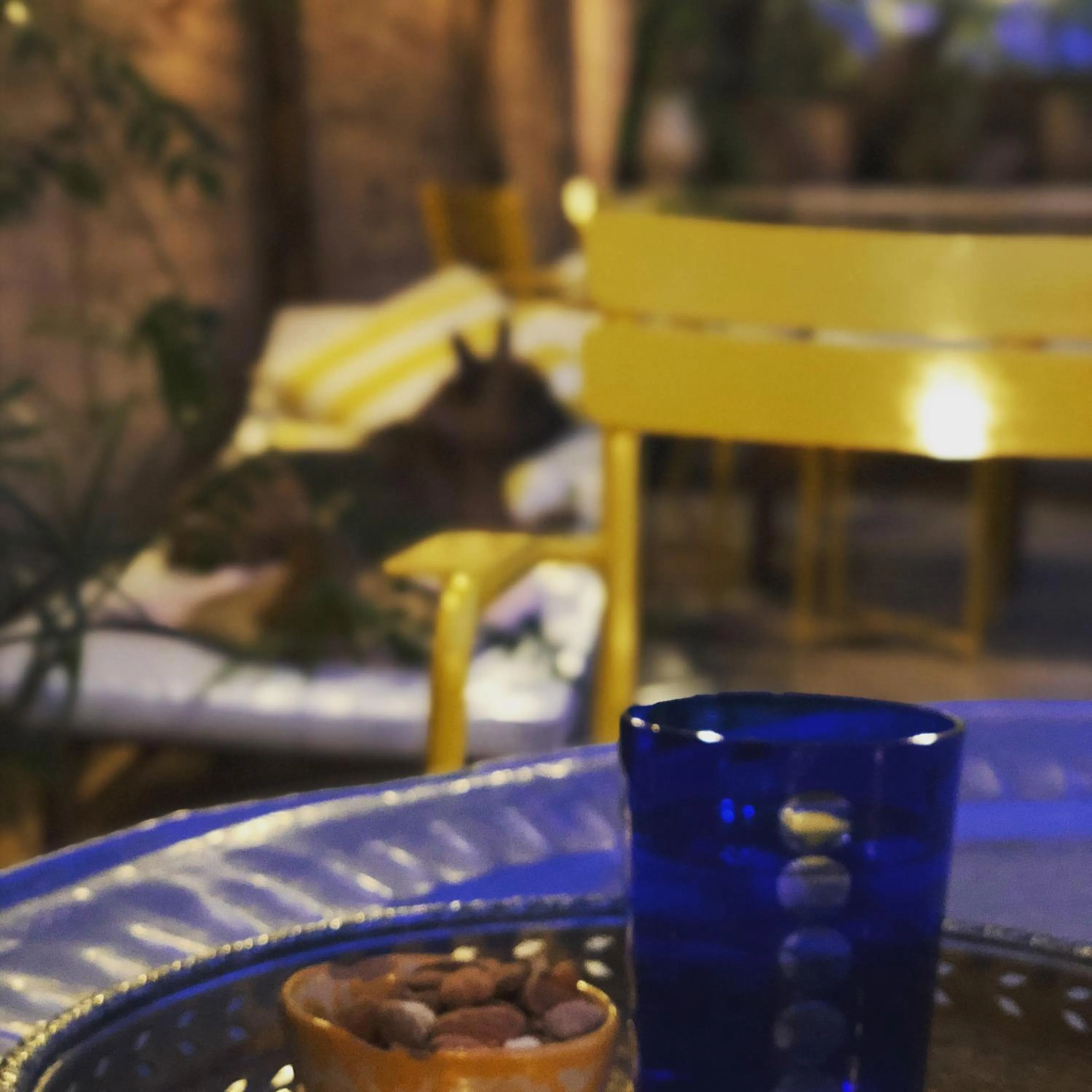 Lounge or bar in Riad Tibibt