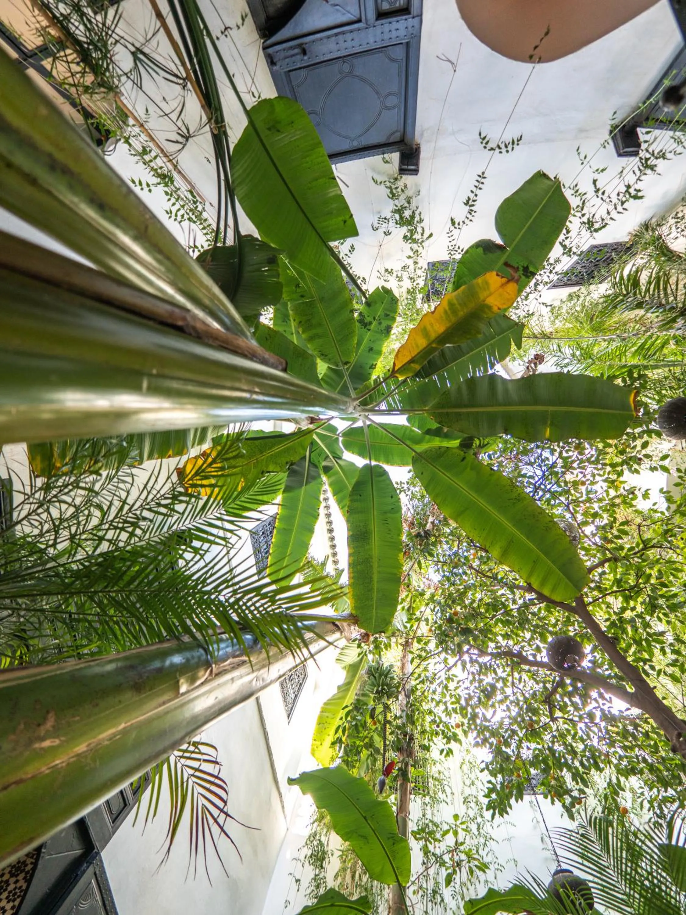 Patio in Riad Tibibt