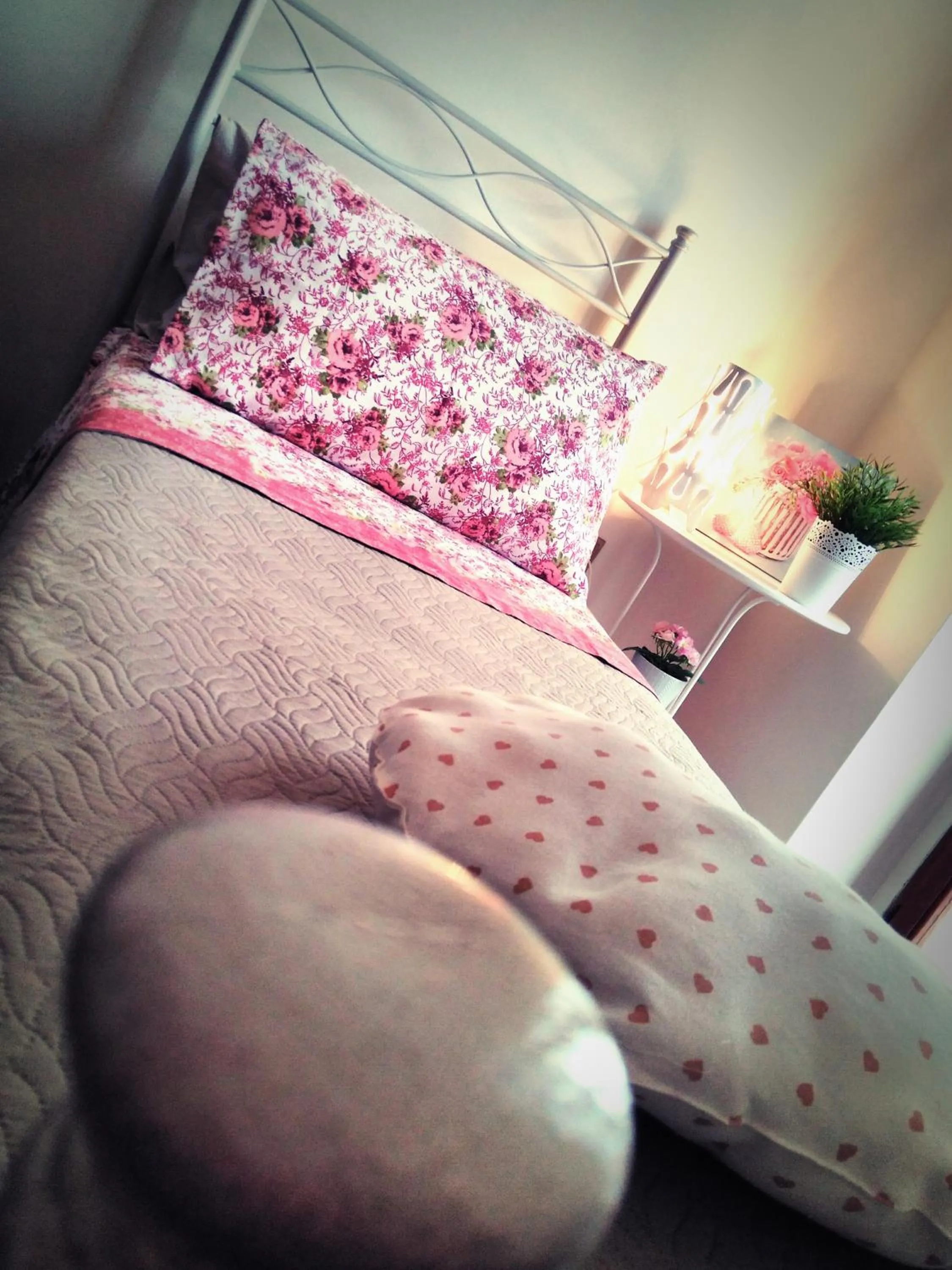 B&B L'angolo fiorito