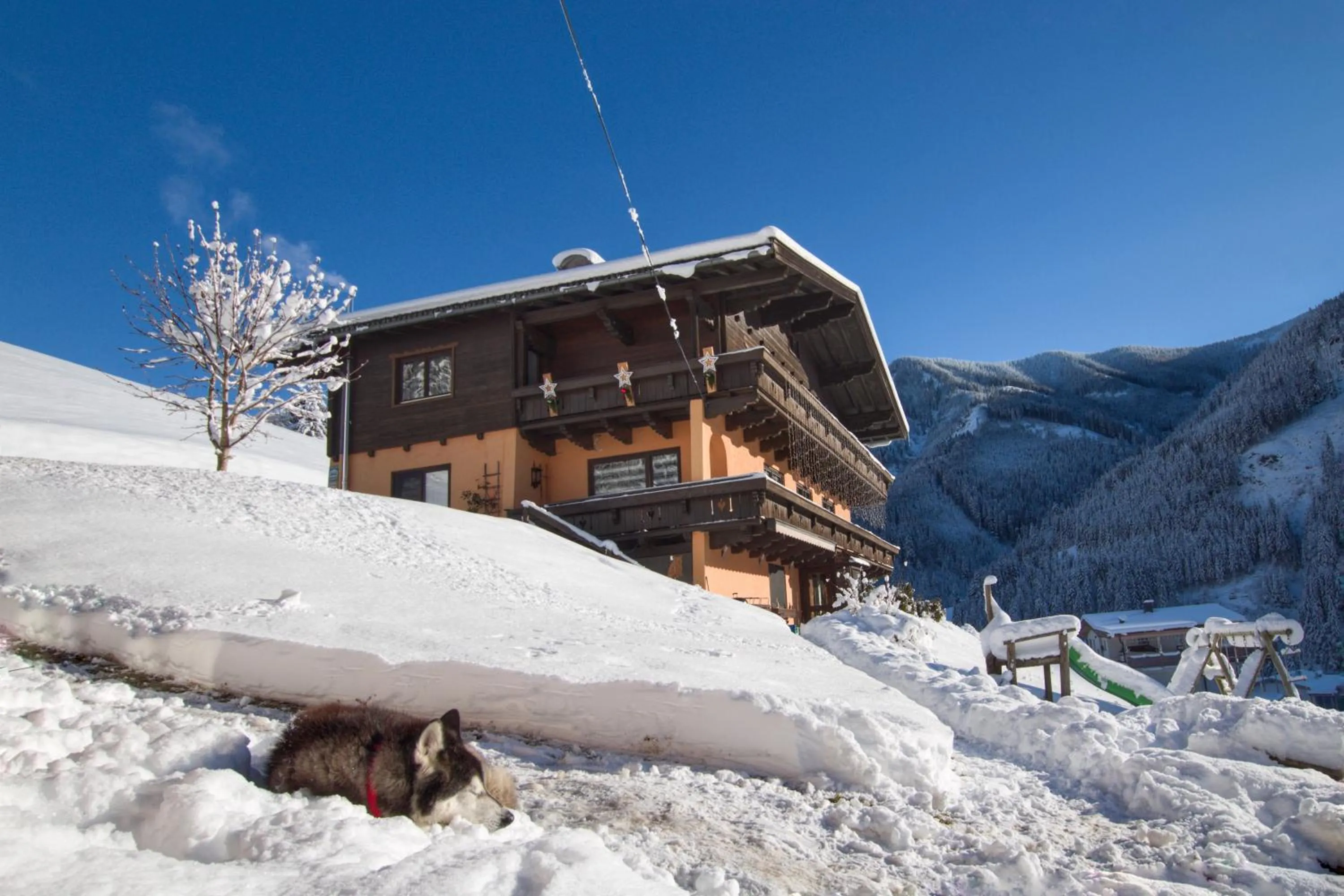 Property building in Appartements Moser